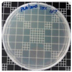 Polymers 11 01427 i011