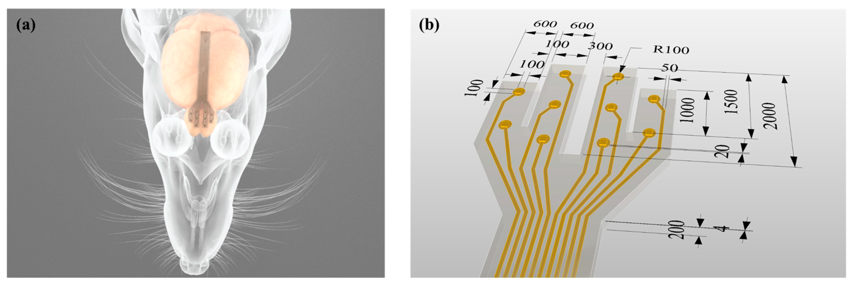 Polymers 11 01436 g001