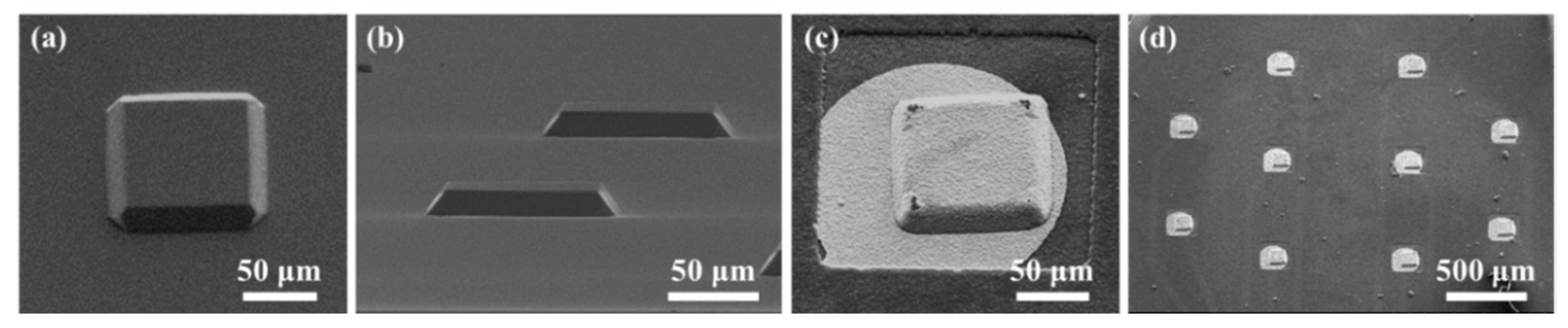 Polymers 11 01436 g003
