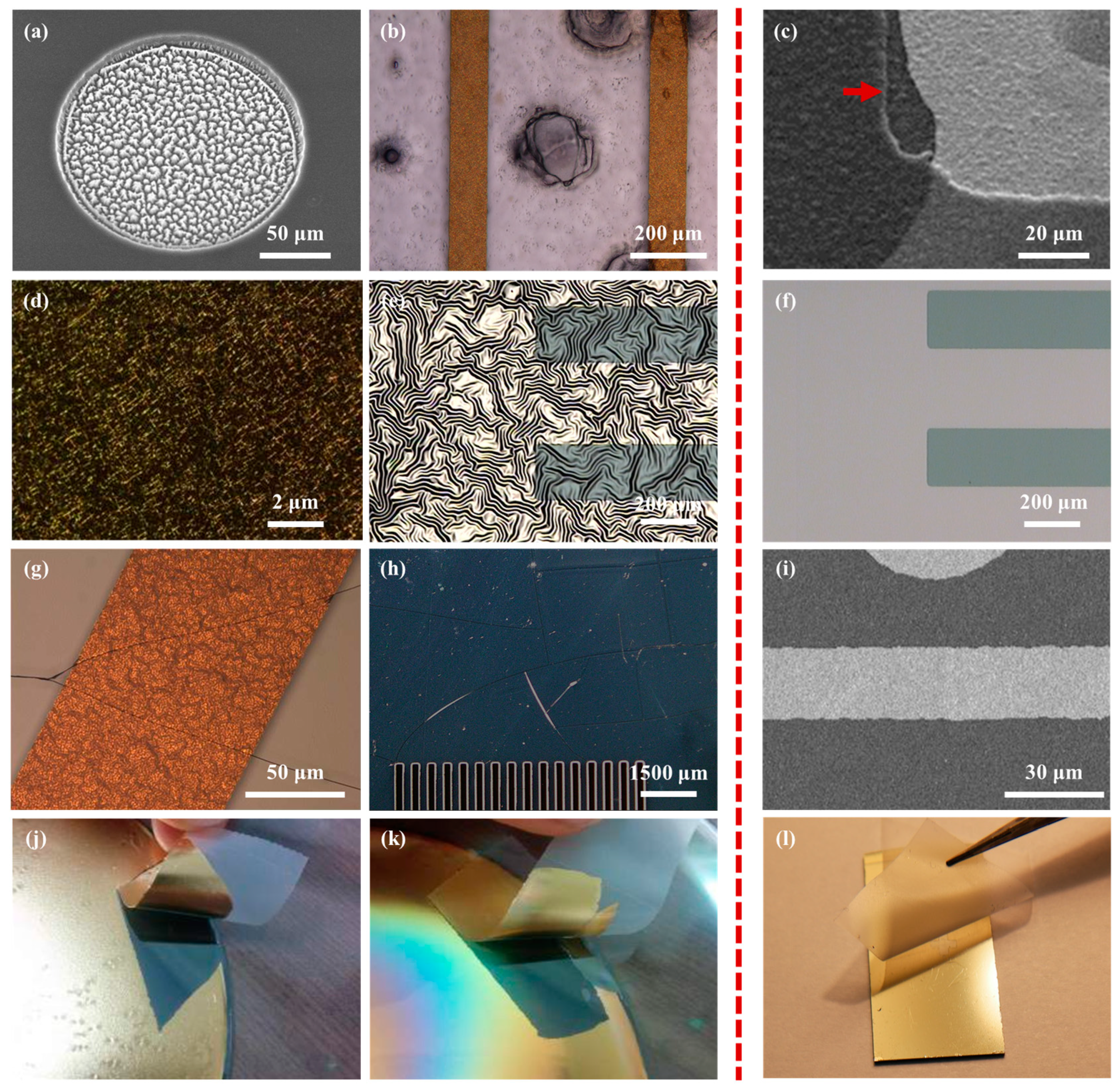 Polymers 11 01436 g005