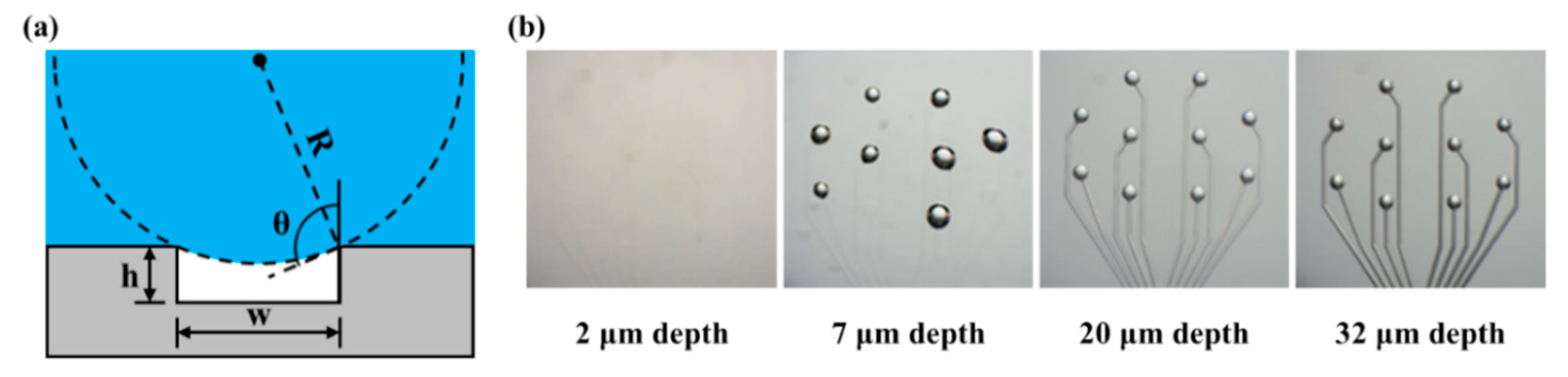 Polymers 11 01436 g007