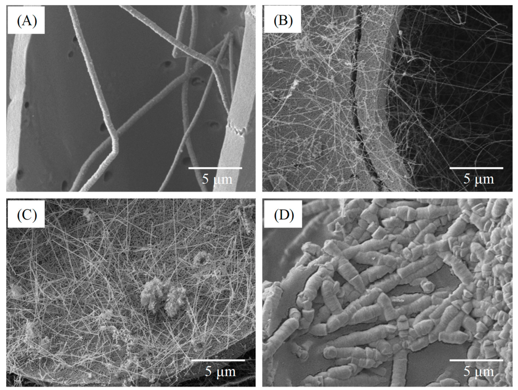 Polymers 11 01442 g005