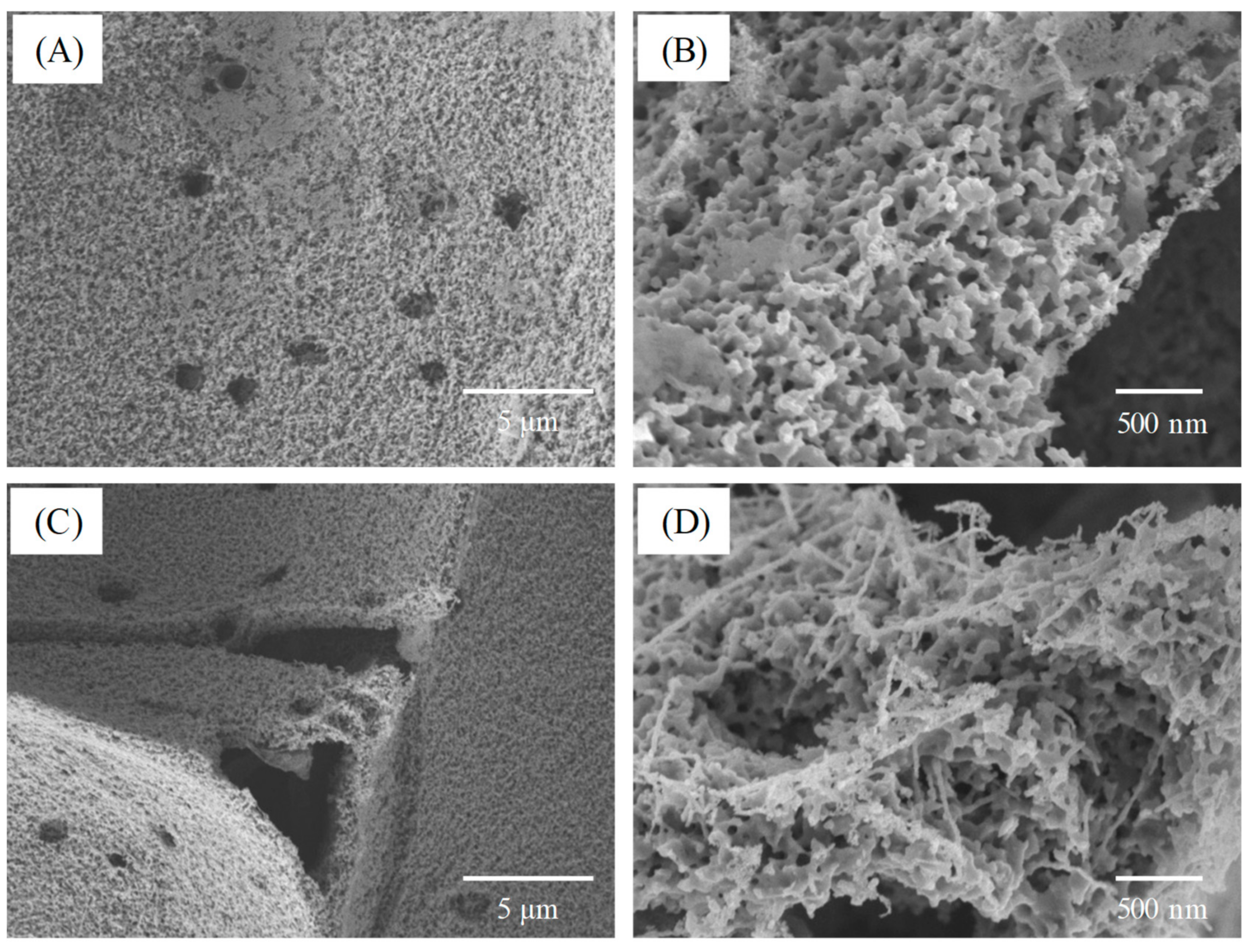 Polymers 11 01442 g007