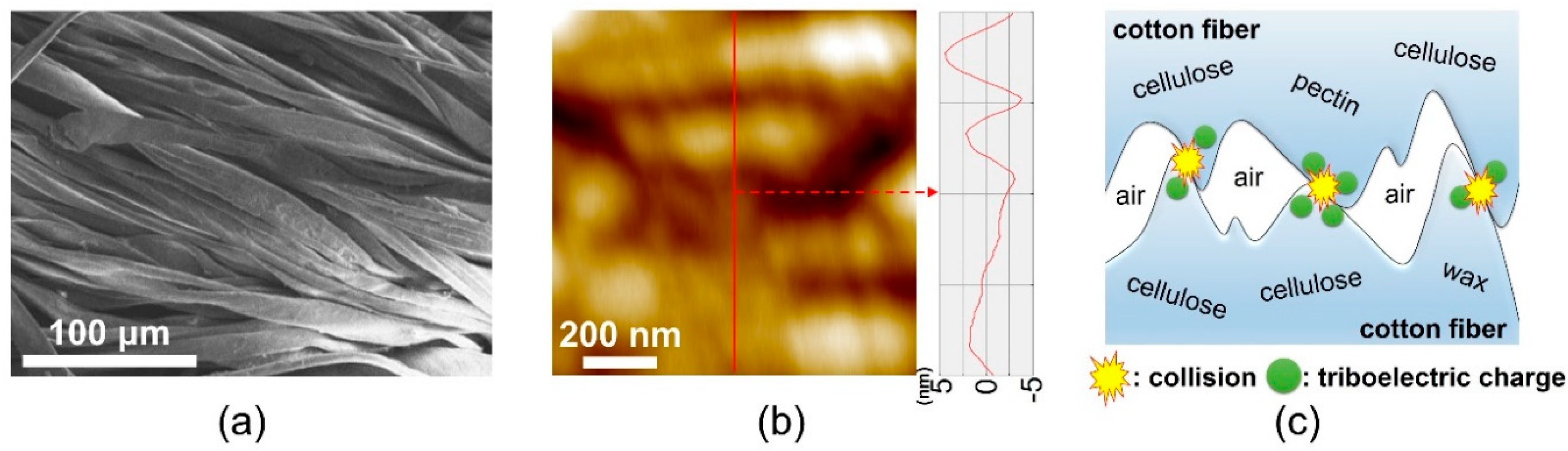 Polymers 11 01443 g002