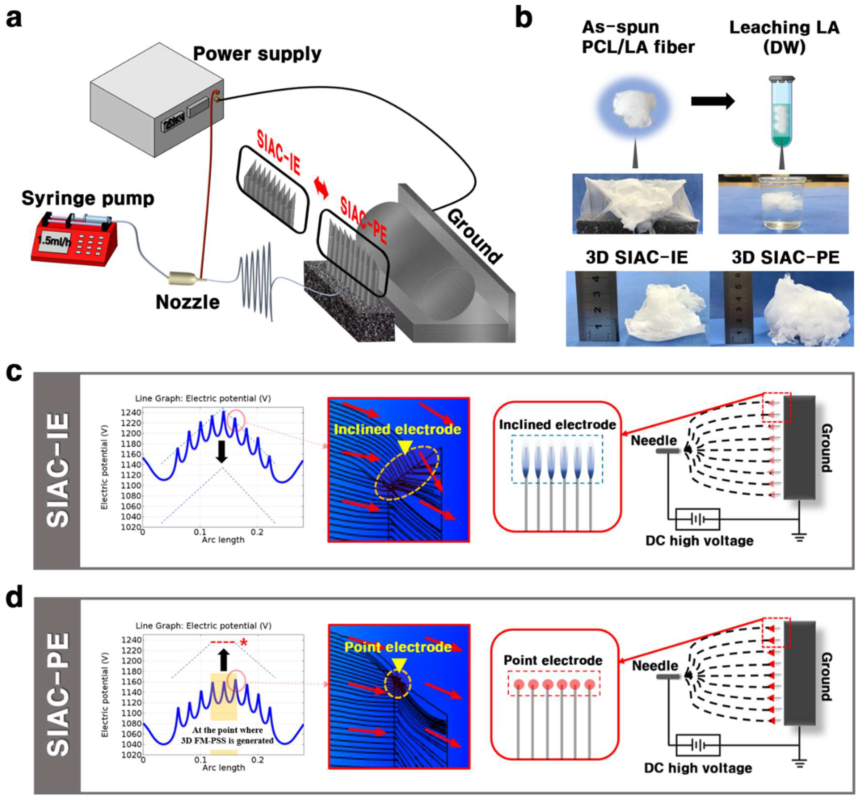 Polymers 11 01444 g001