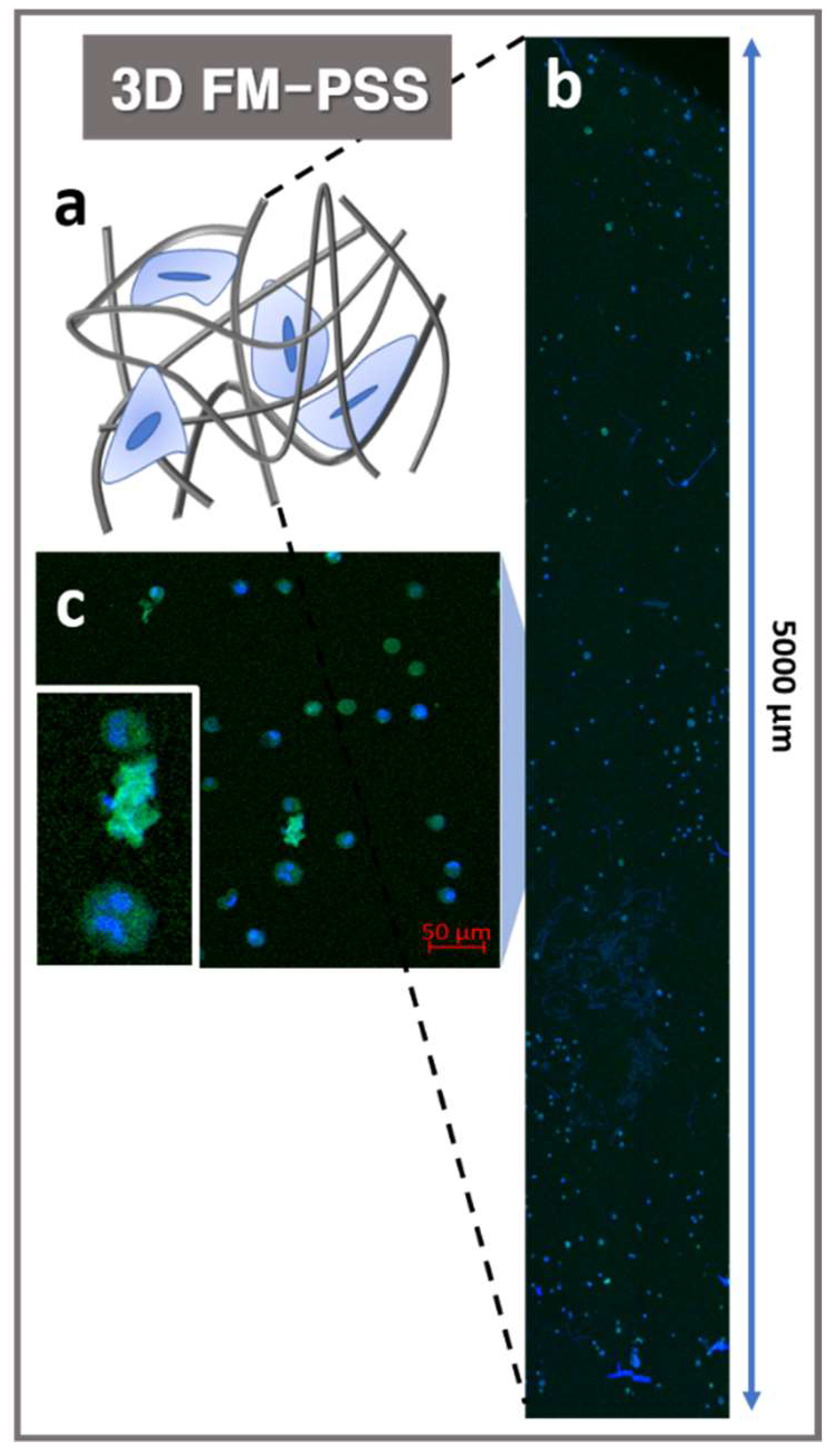 Polymers 11 01444 g005