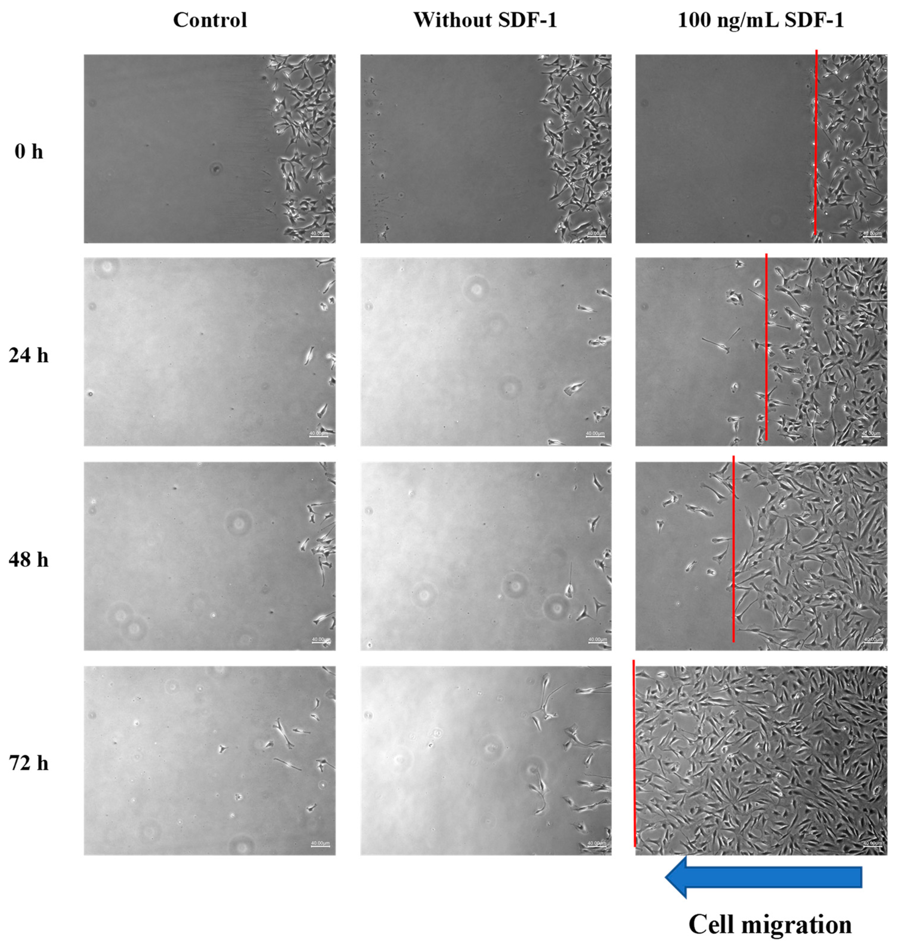 Polymers 11 01454 g007 Polymers 11 01454 g007