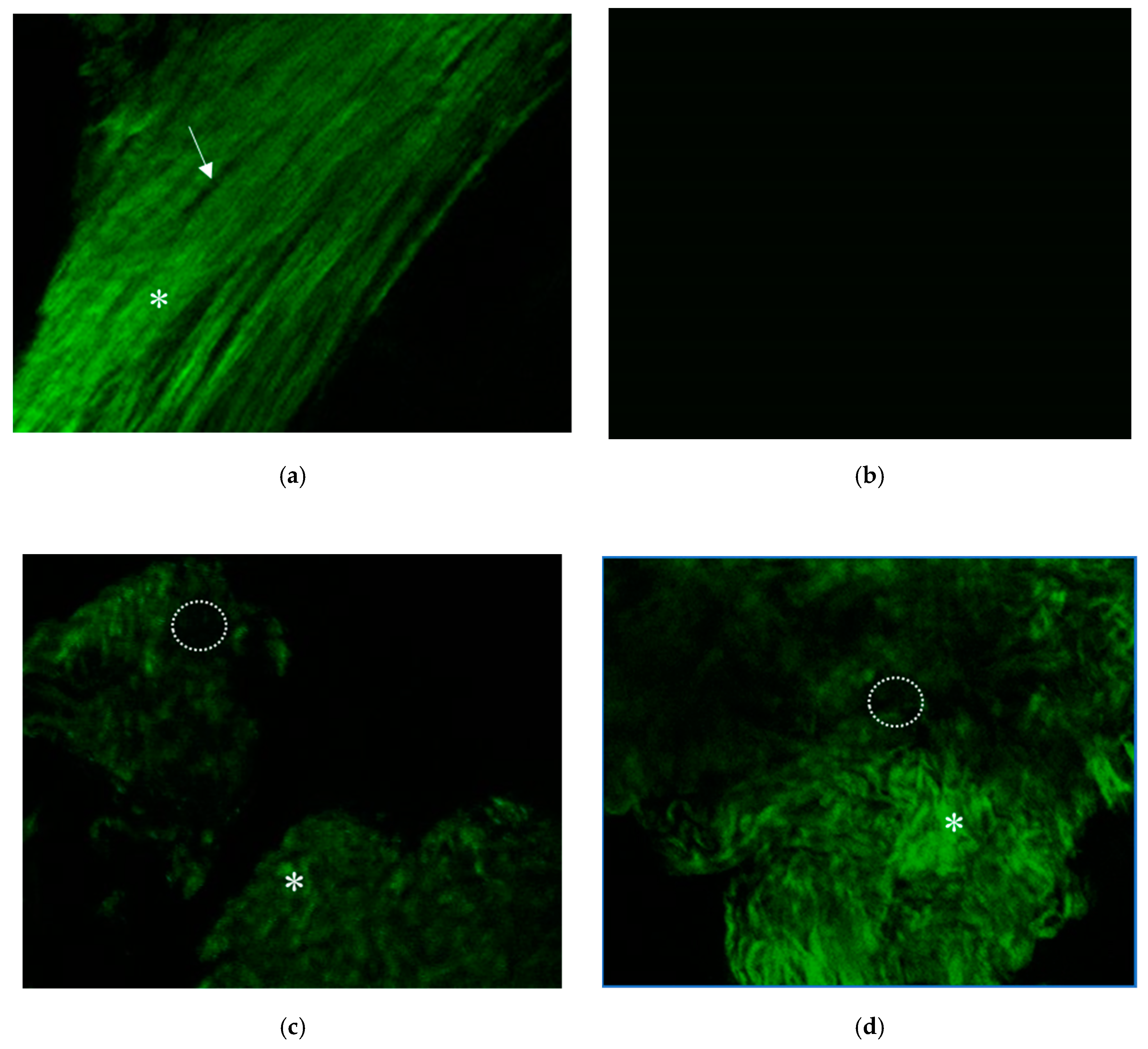 Polymers 11 01454 g009 Polymers 11 01454 g009