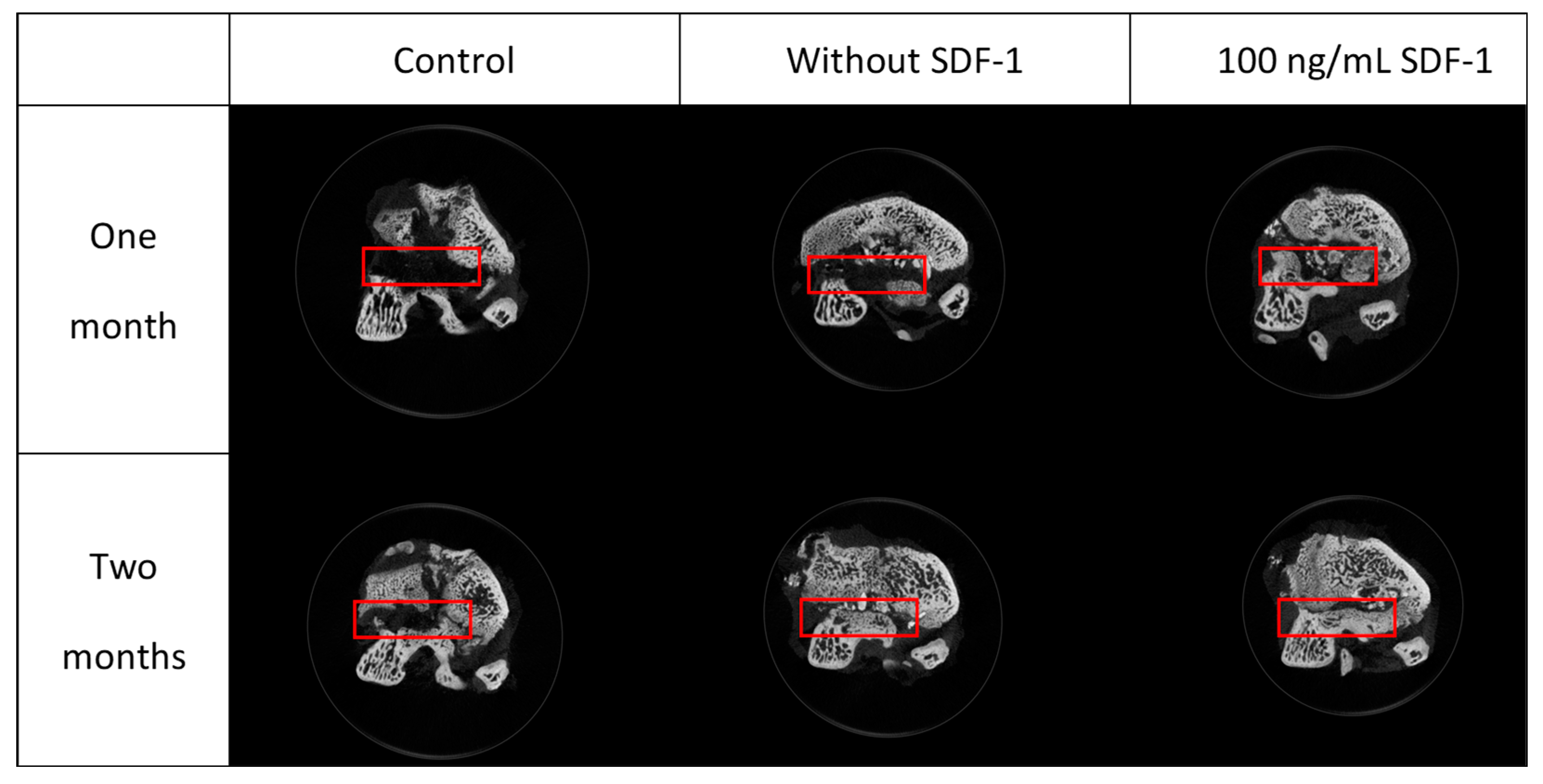 Polymers 11 01454 g010 Polymers 11 01454 g010