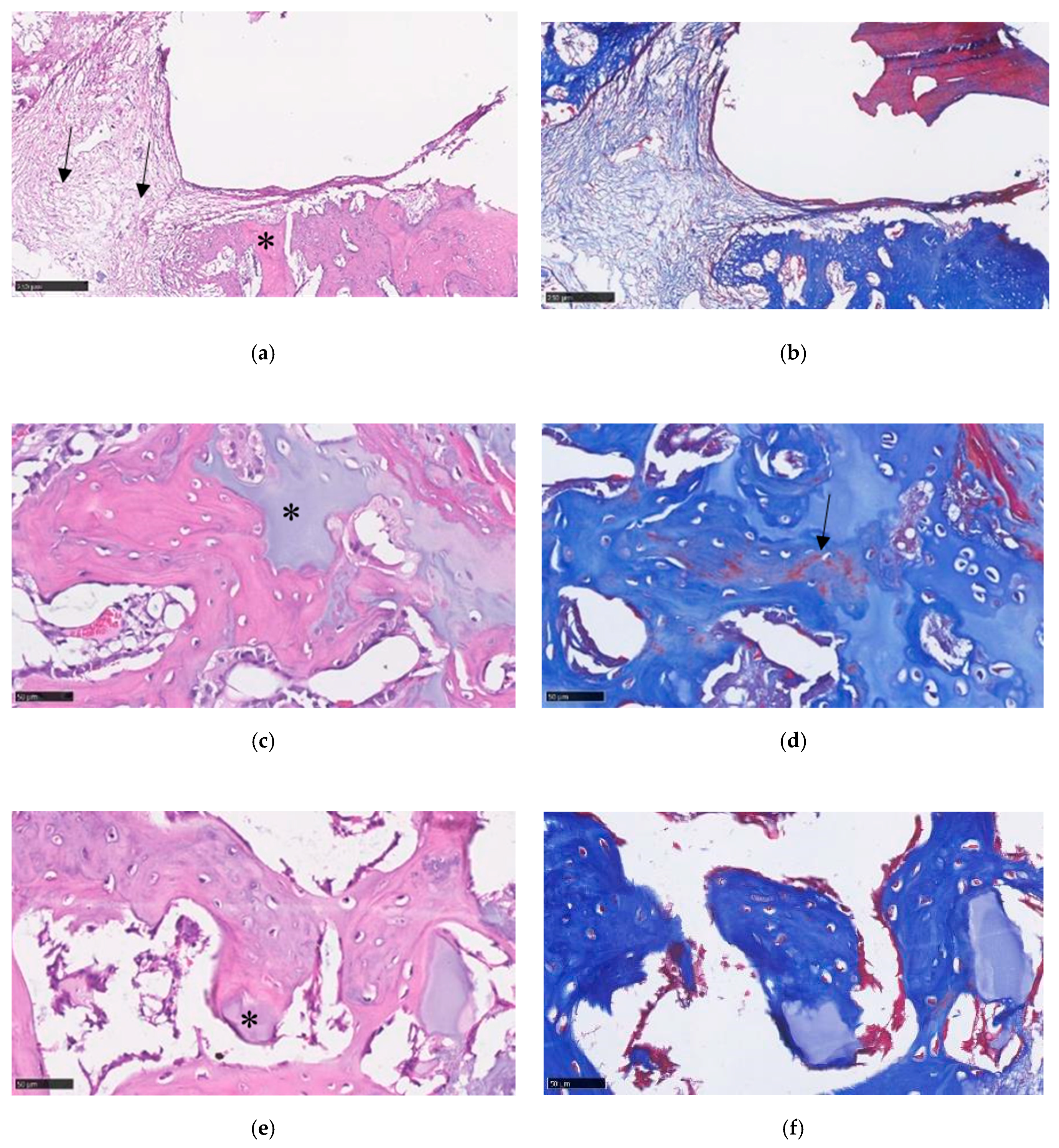 Polymers 11 01454 g012 Polymers 11 01454 g012