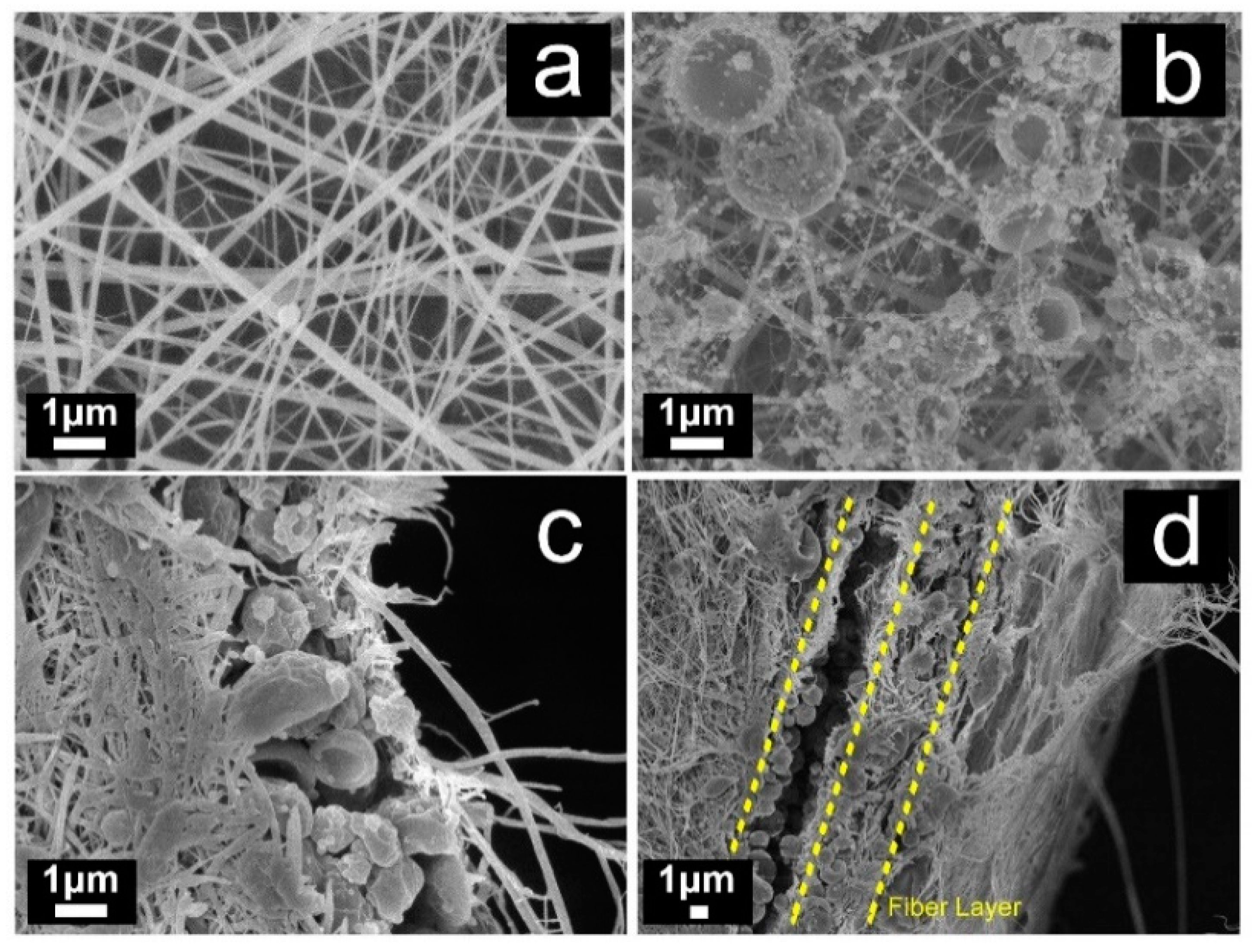 Polymers 11 01463 g003