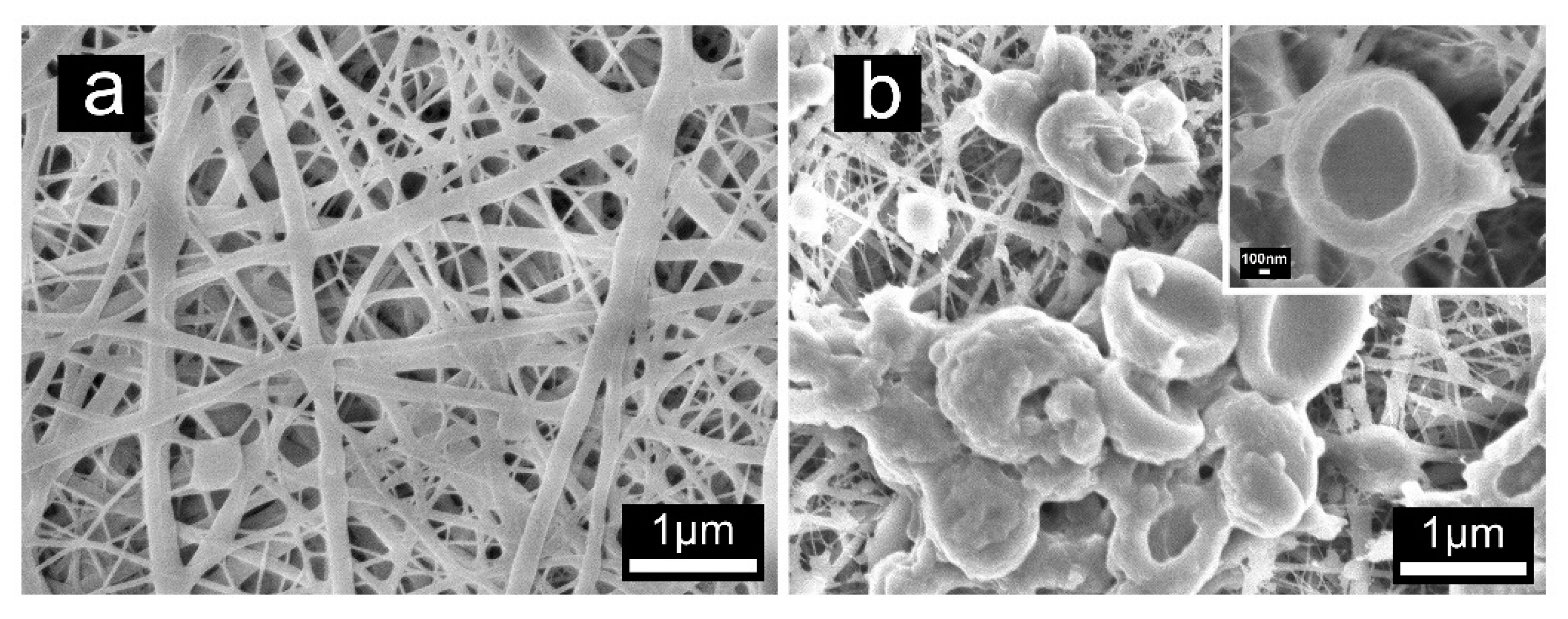 Polymers 11 01463 g004