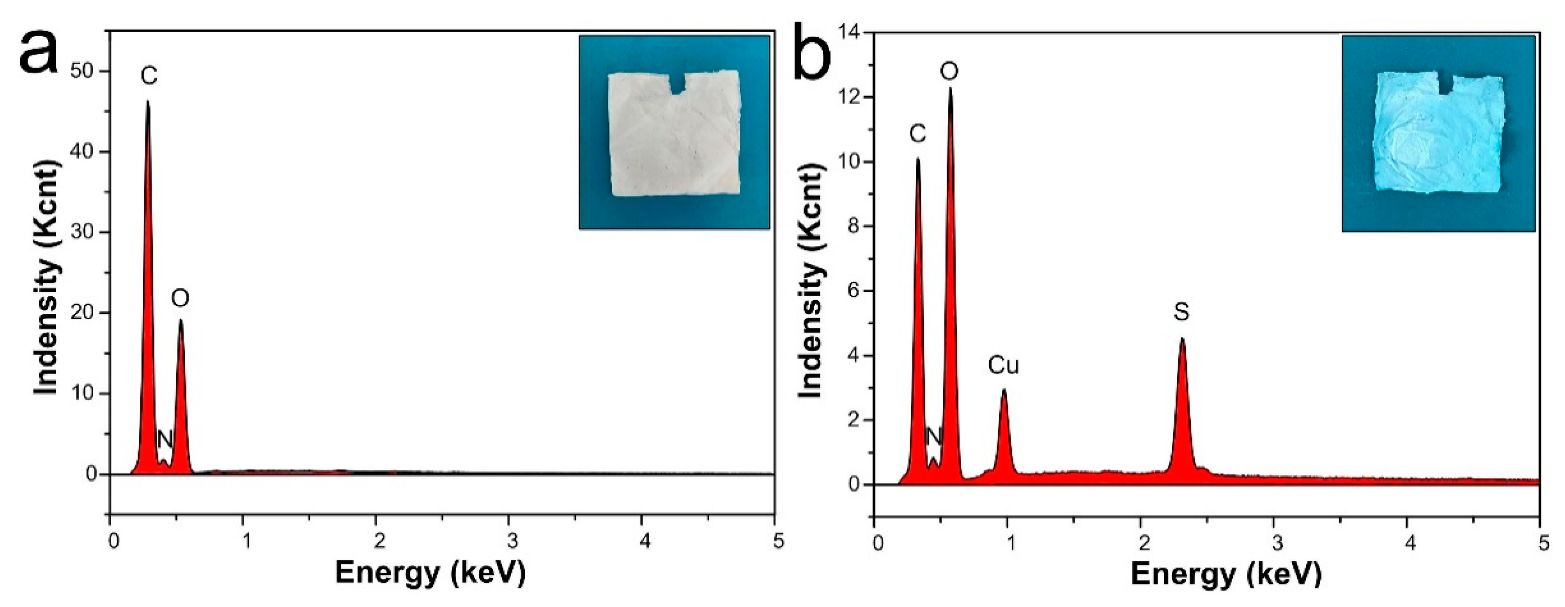 Polymers 11 01463 g010