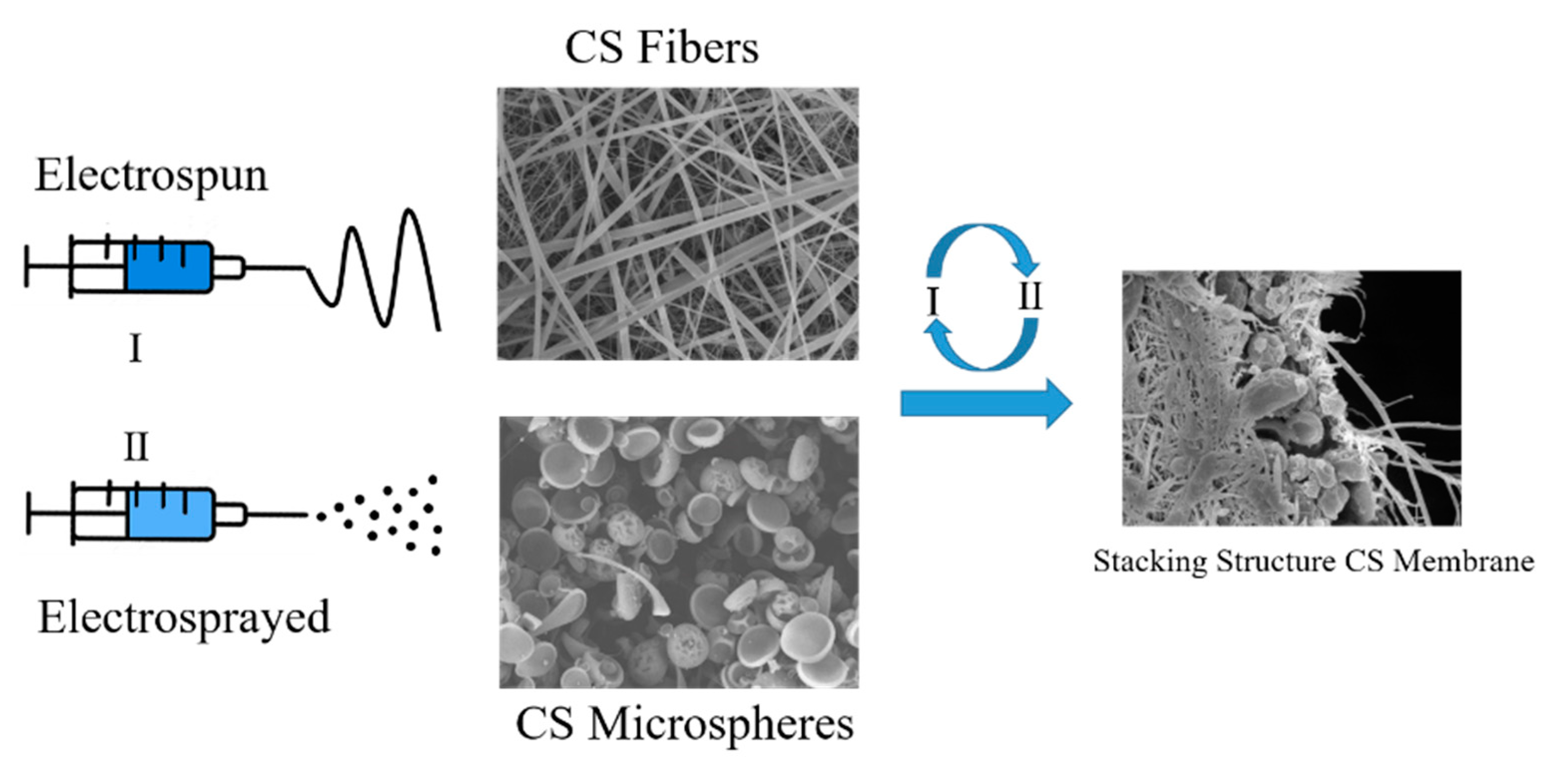 Polymers 11 01463 sch001