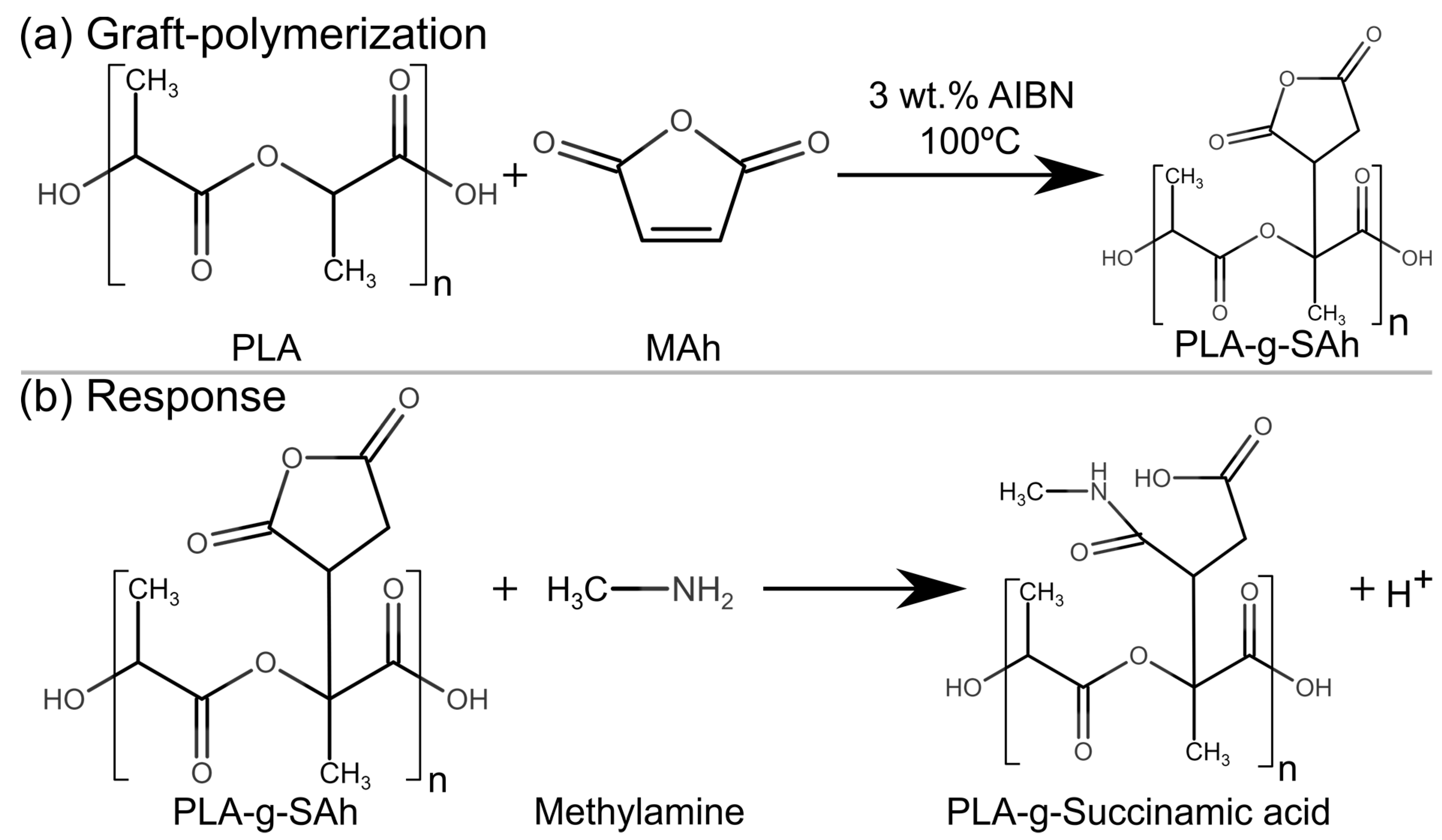 Polymers 11 01466 g001