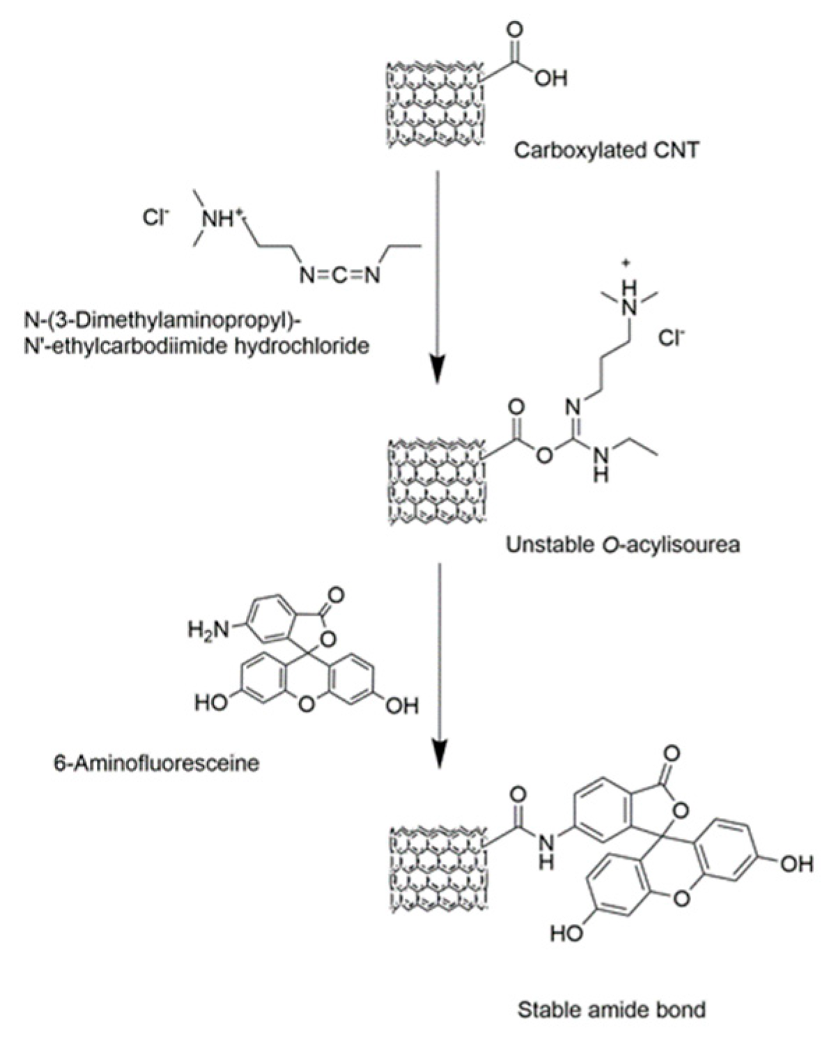 Polymers 11 01480 g002
