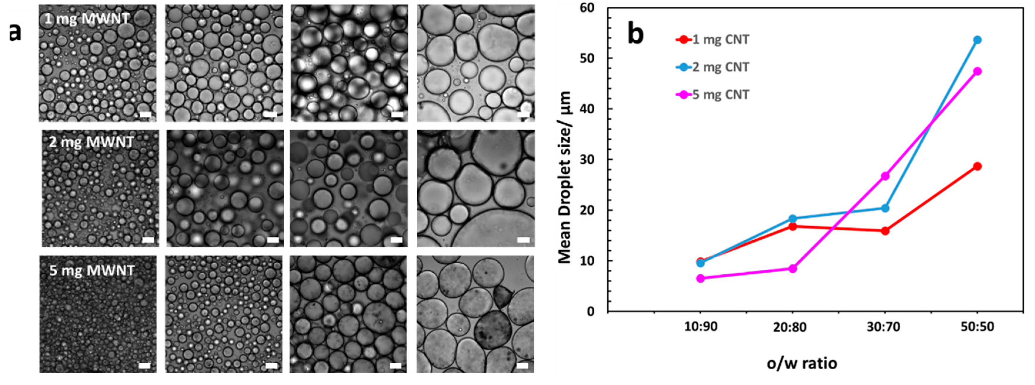 Polymers 11 01480 g006