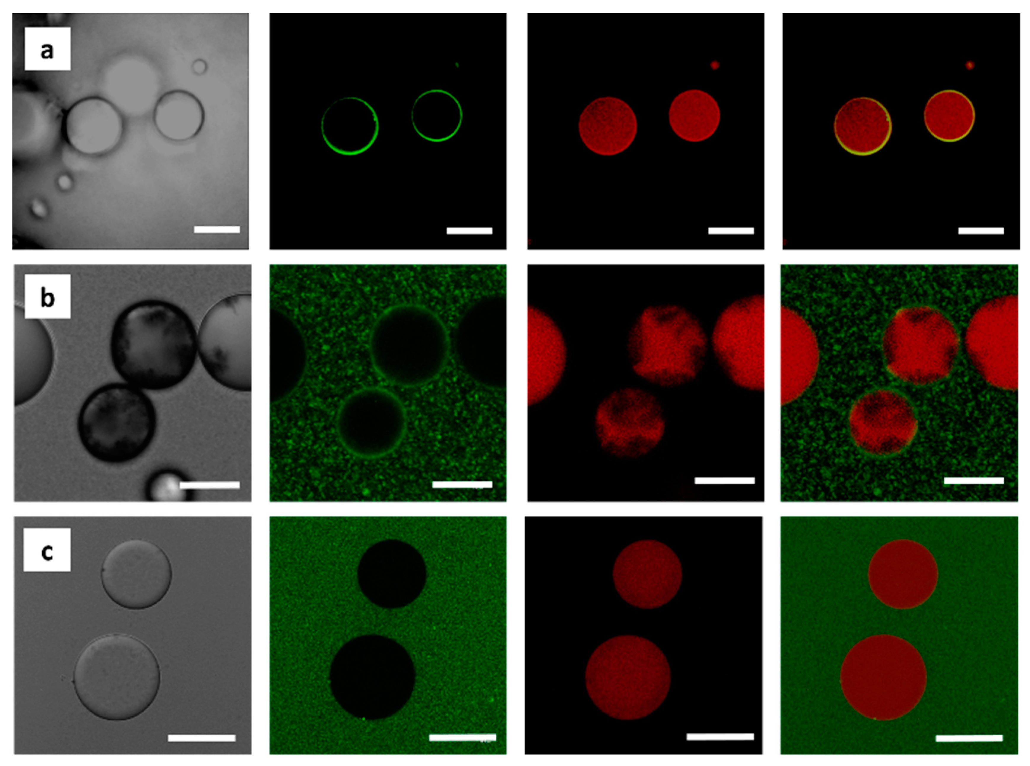 Polymers 11 01480 g008