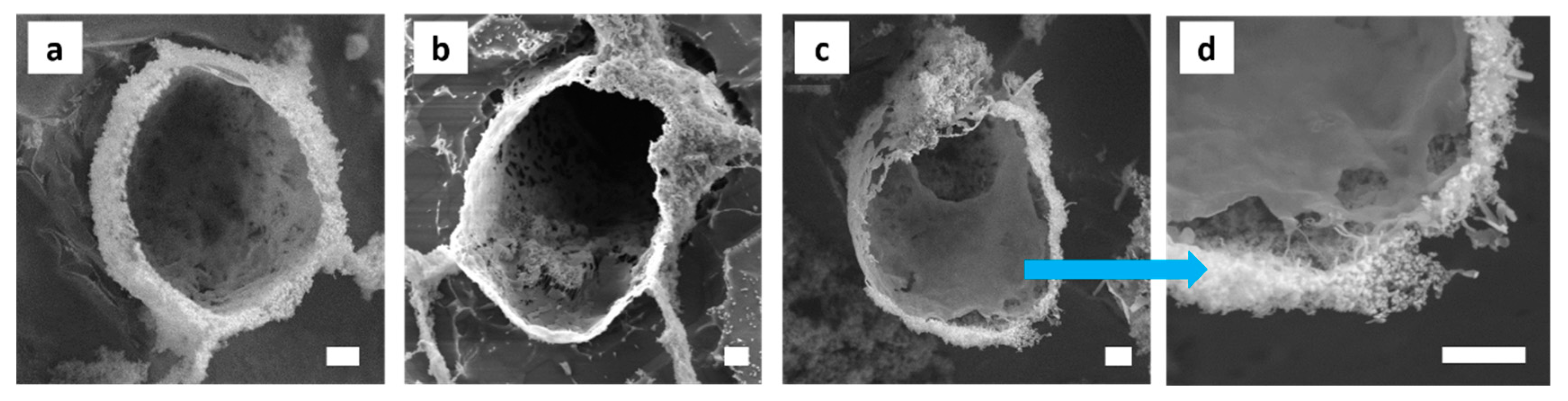 Polymers 11 01480 g009