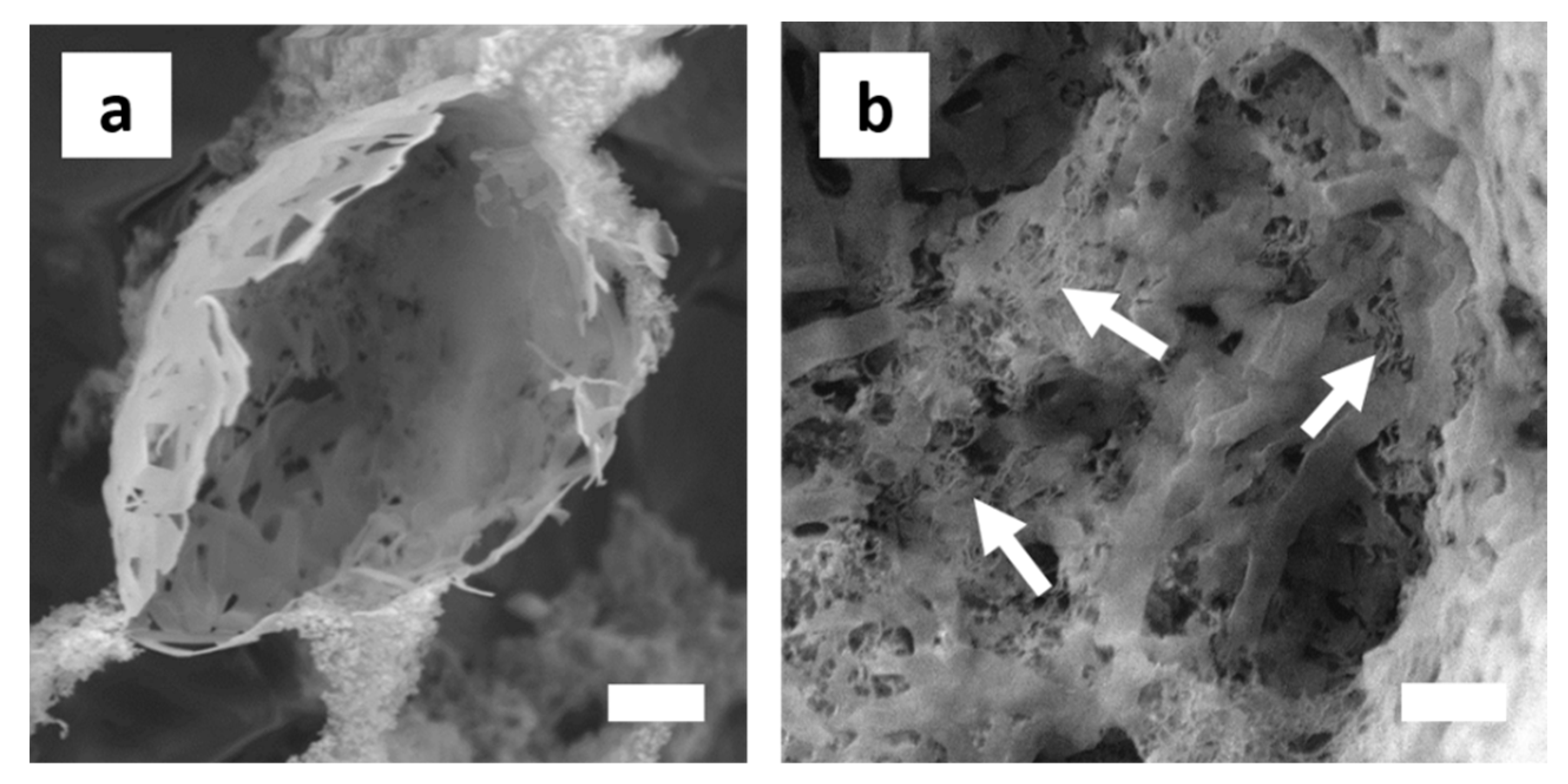 Polymers 11 01480 g010