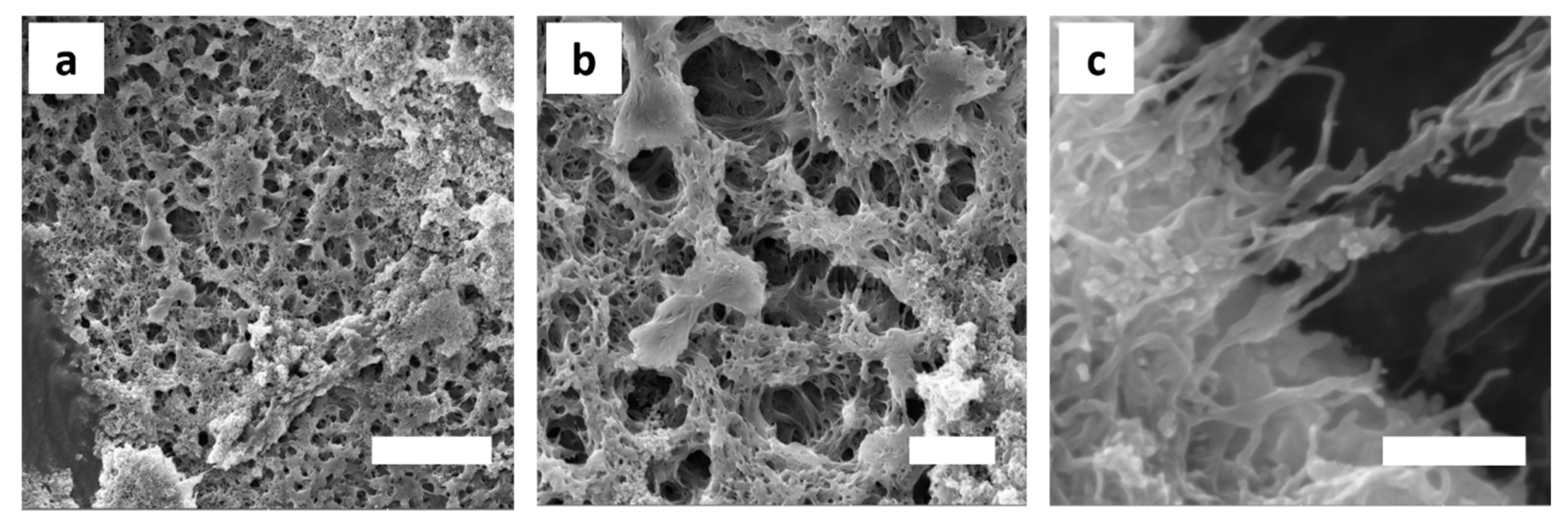 Polymers 11 01480 g011