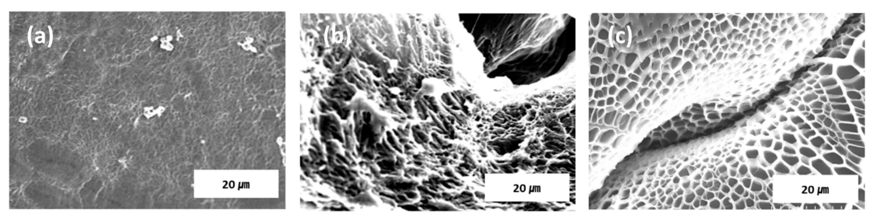 Polymers 11 01491 g006