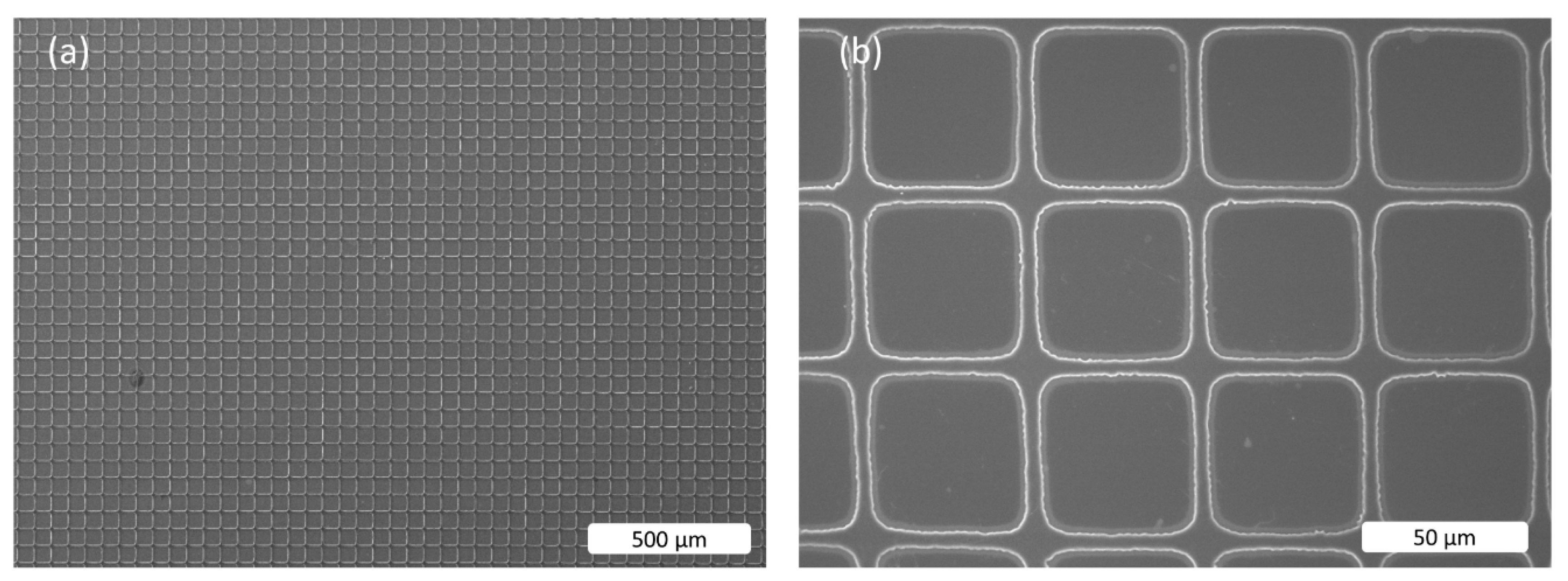 Polymers 11 01491 g008