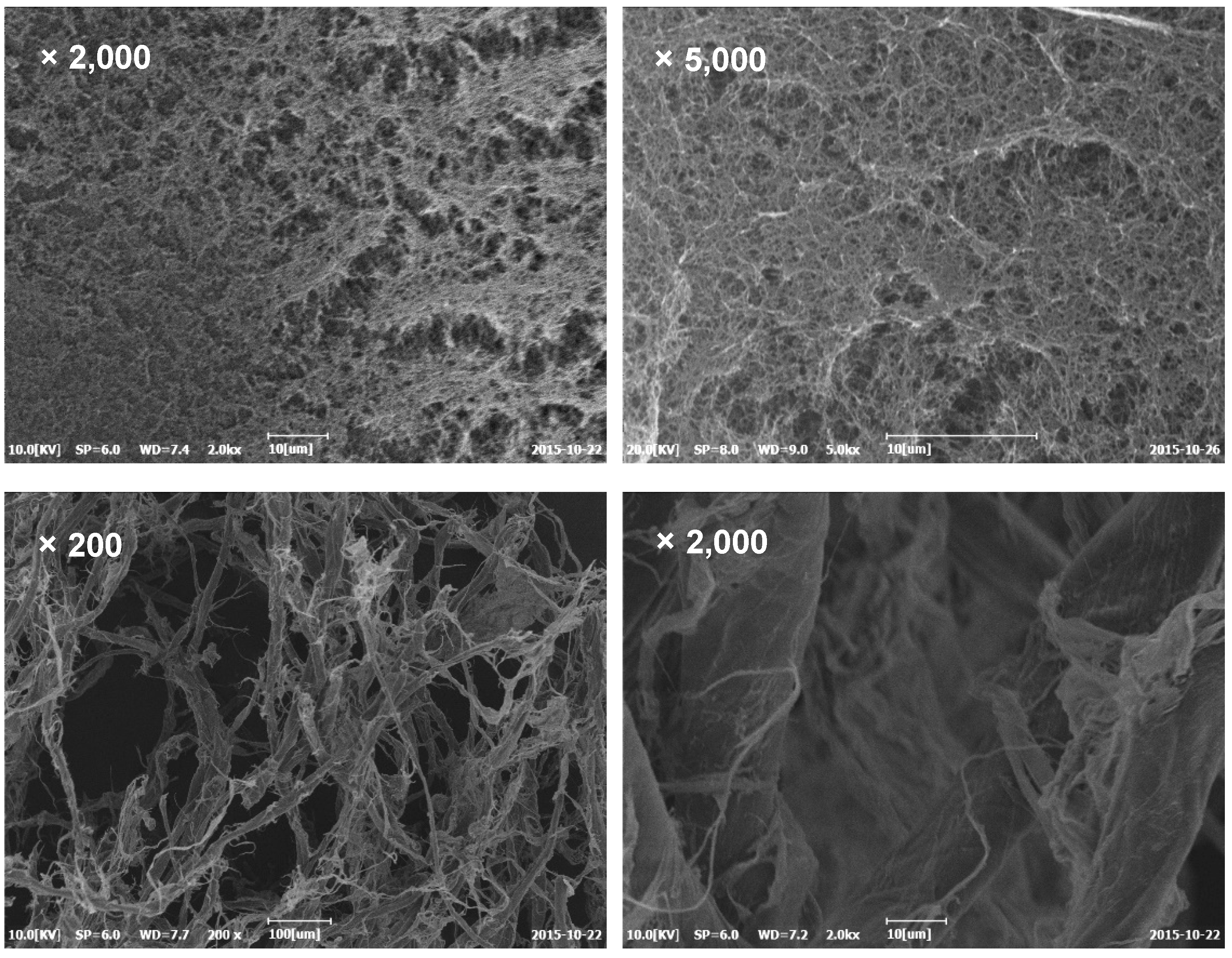 Polymers 11 01494 g002 Polymers 11 01494 g002