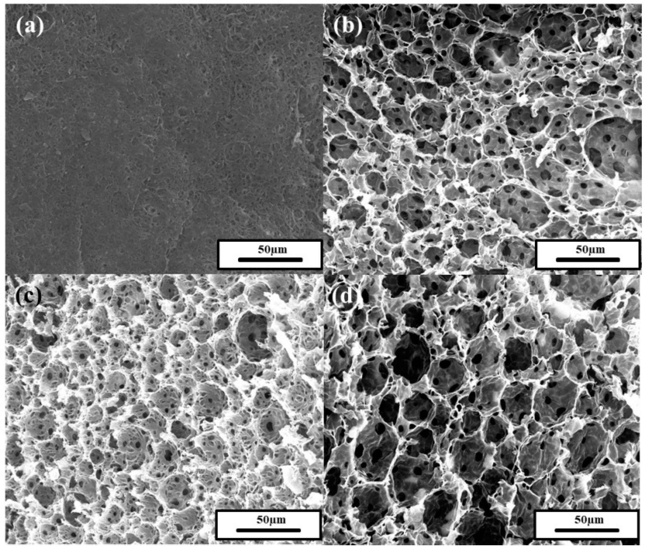 Polymers 11 01499 g007