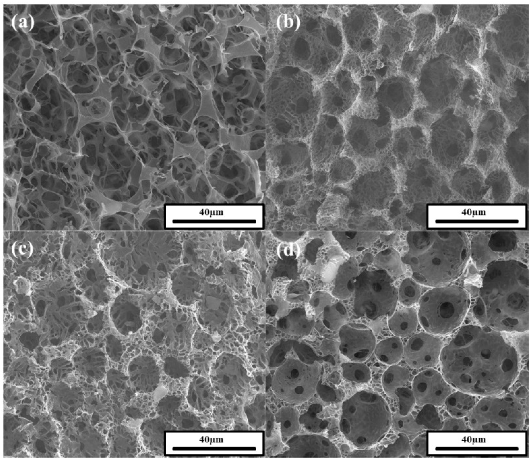 Polymers 11 01499 g008