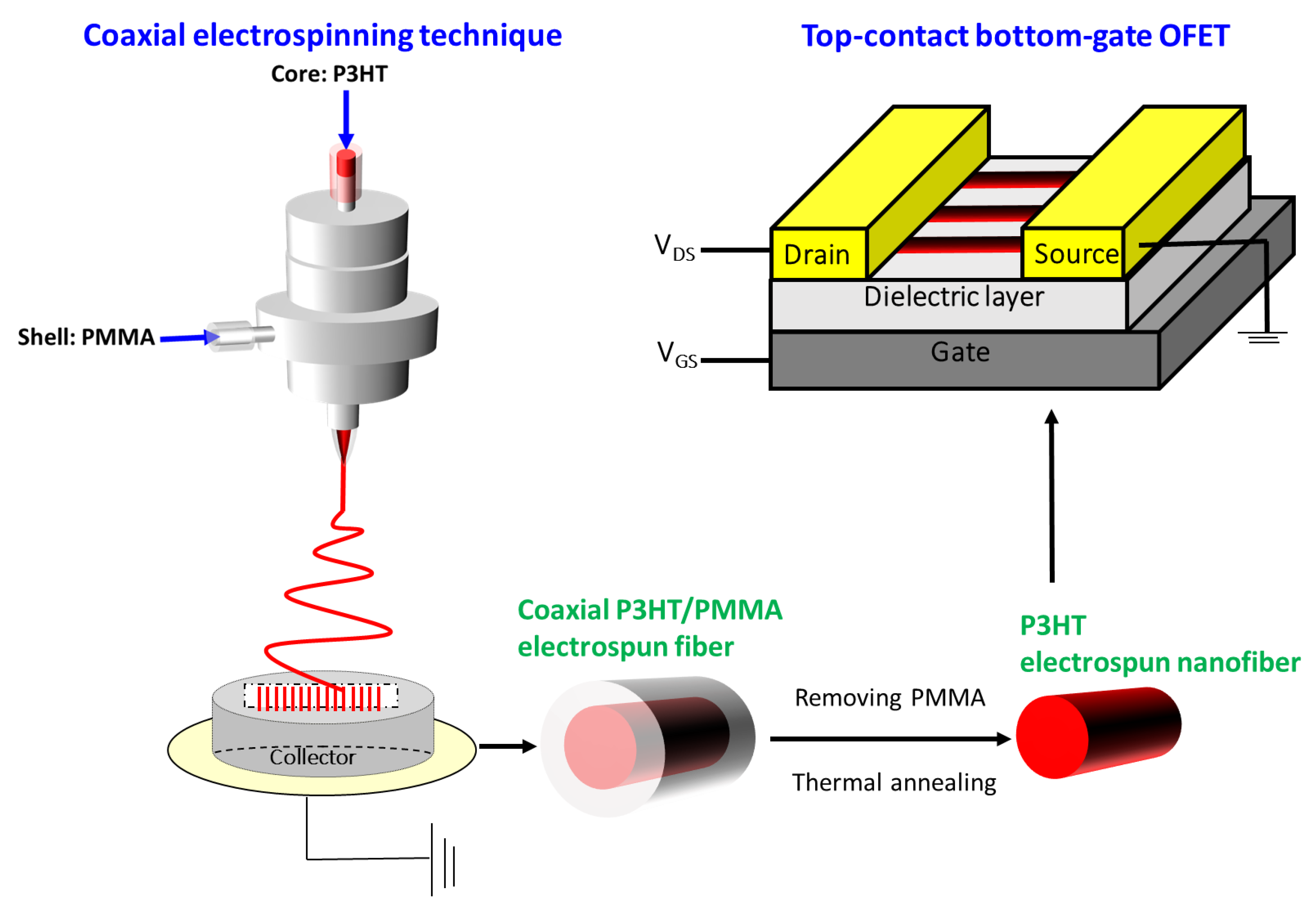 Polymers 11 01501 g001
