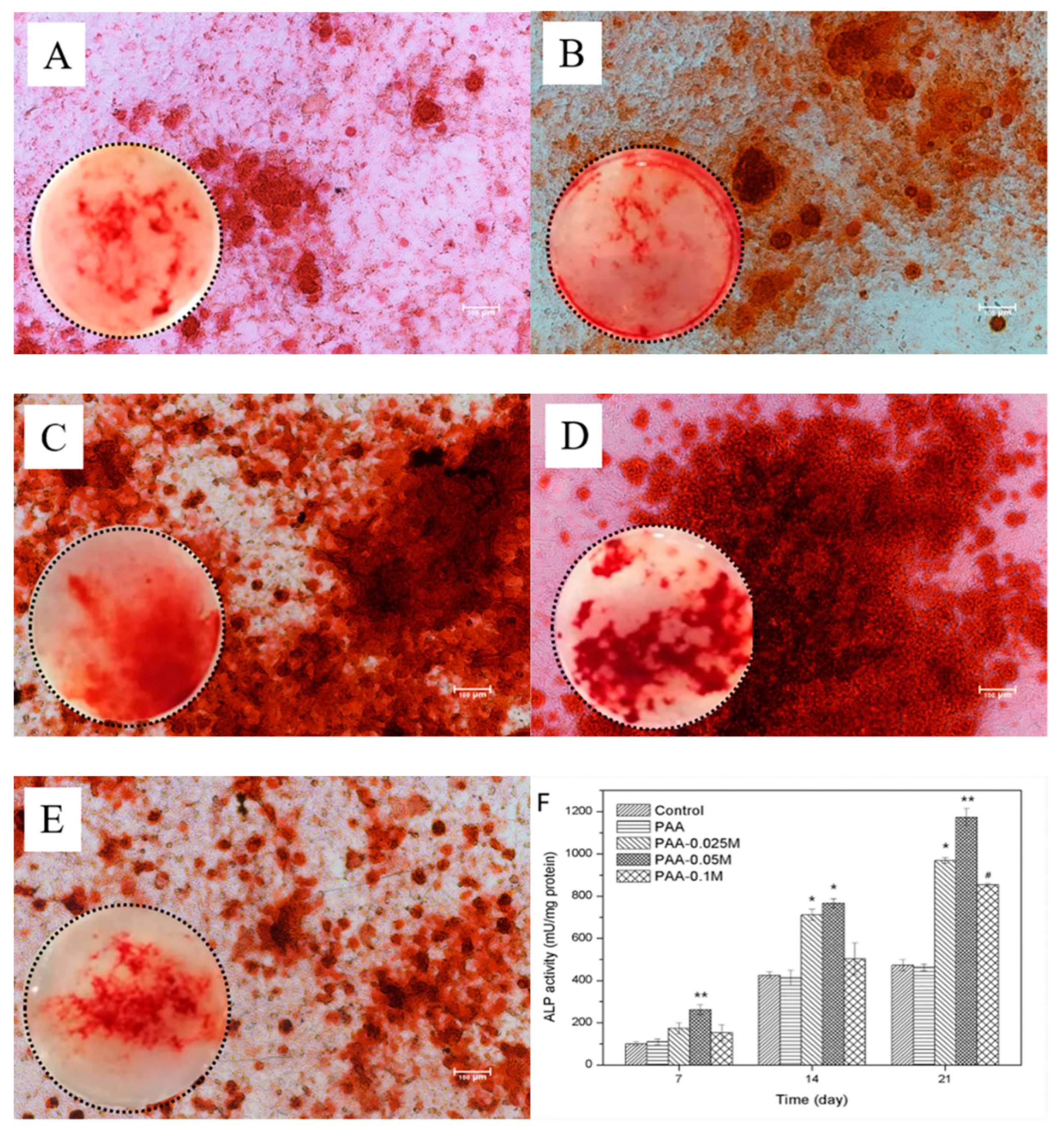 Polymers 11 01505 g005