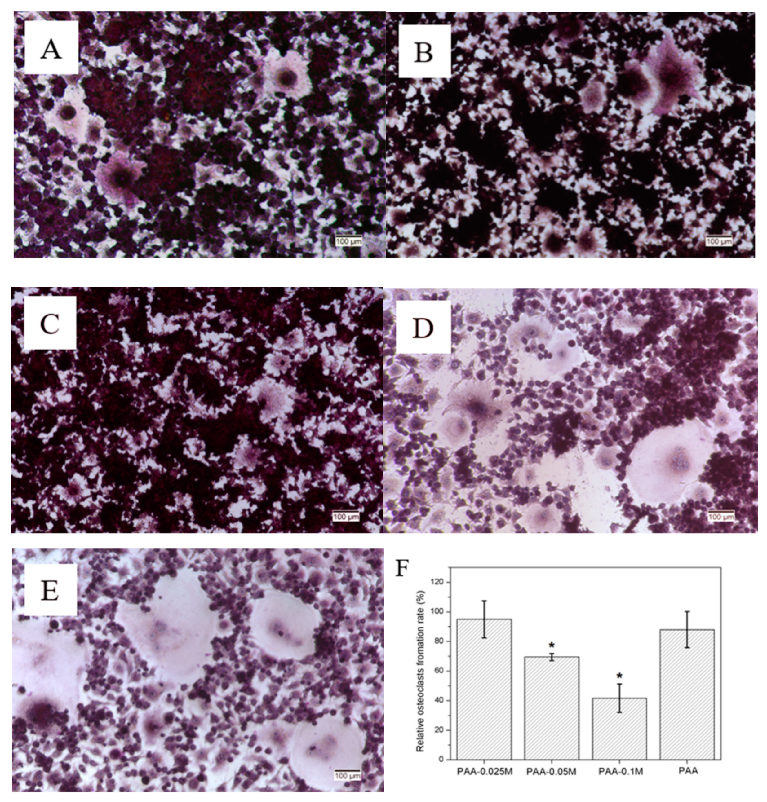 Polymers 11 01505 g006