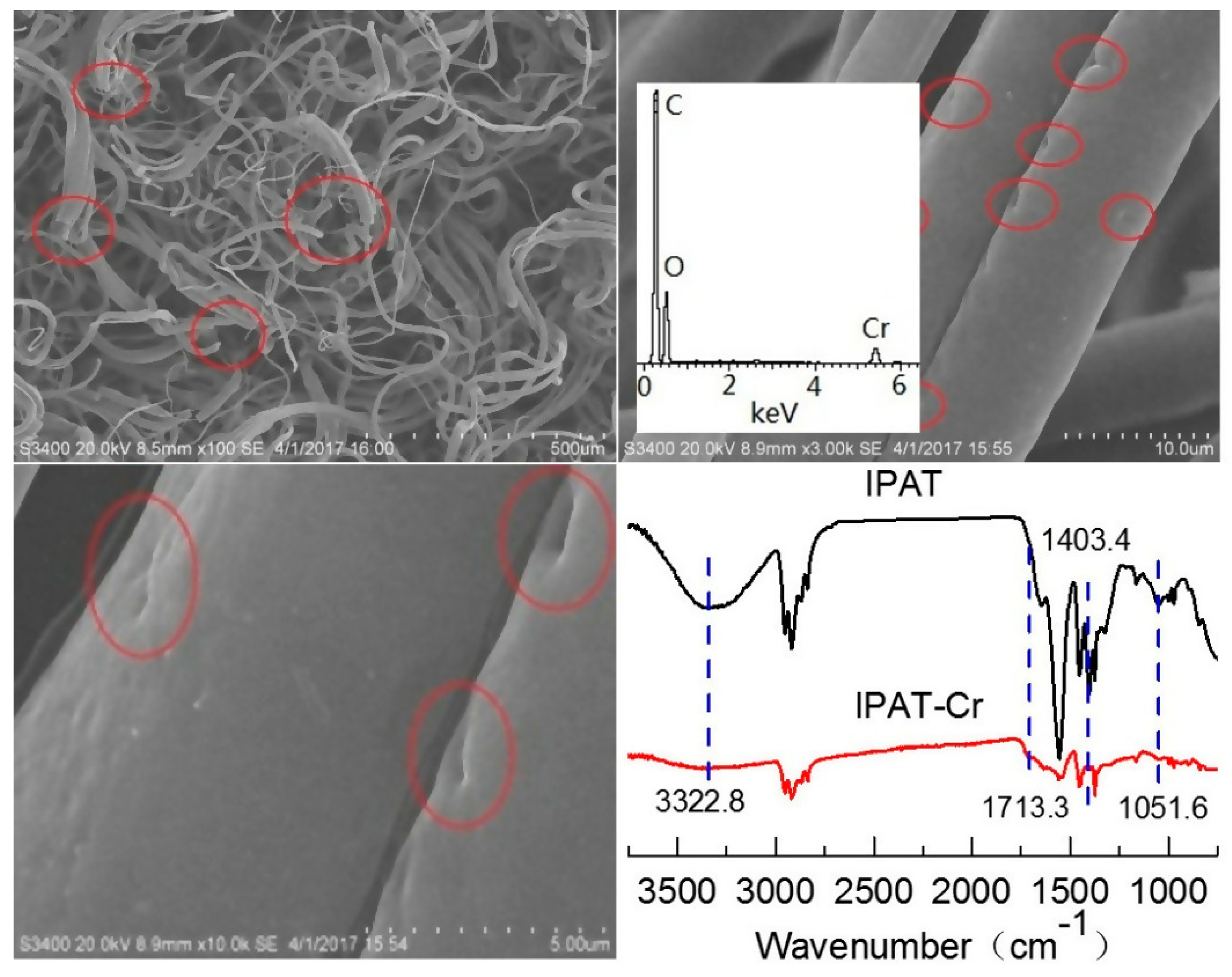 Polymers 11 01508 g014