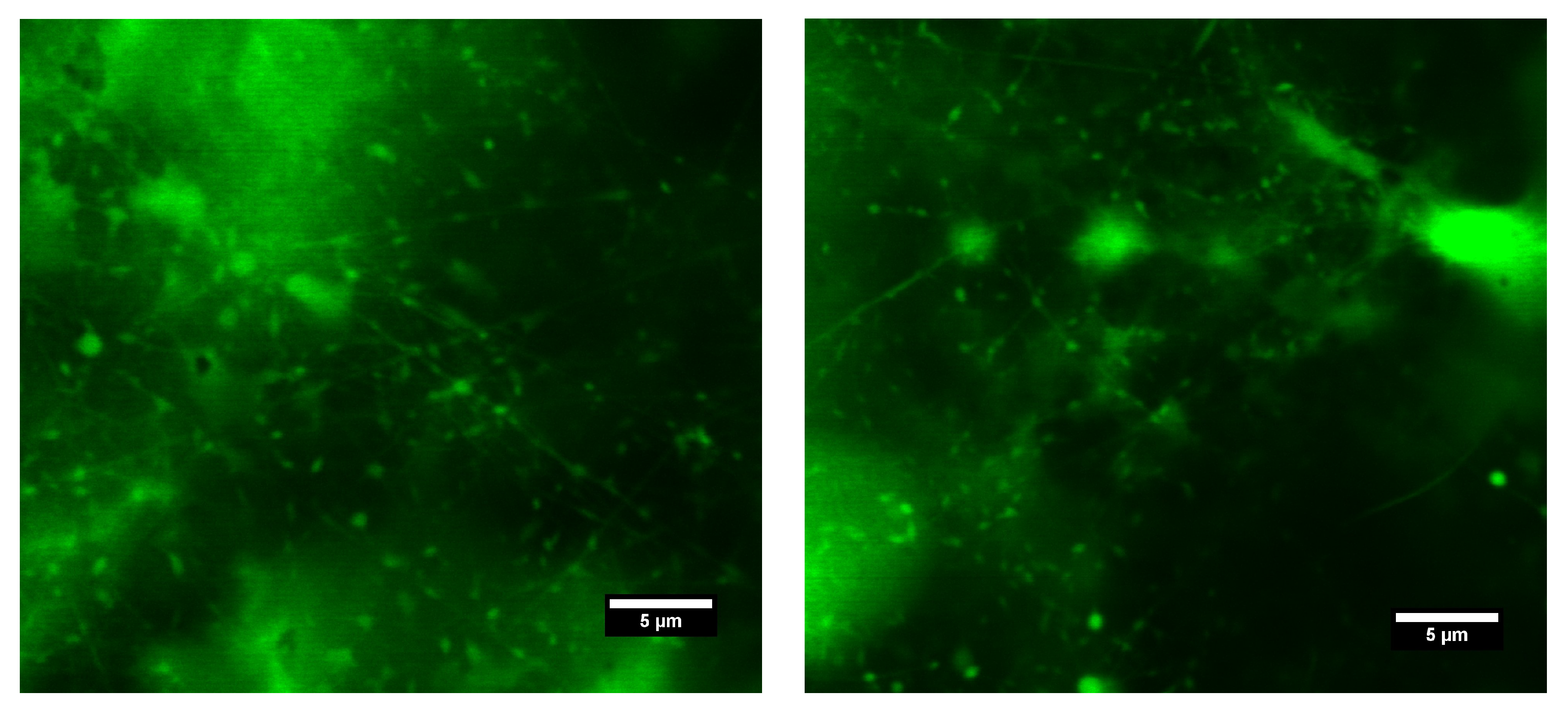 Polymers 11 01517 g007