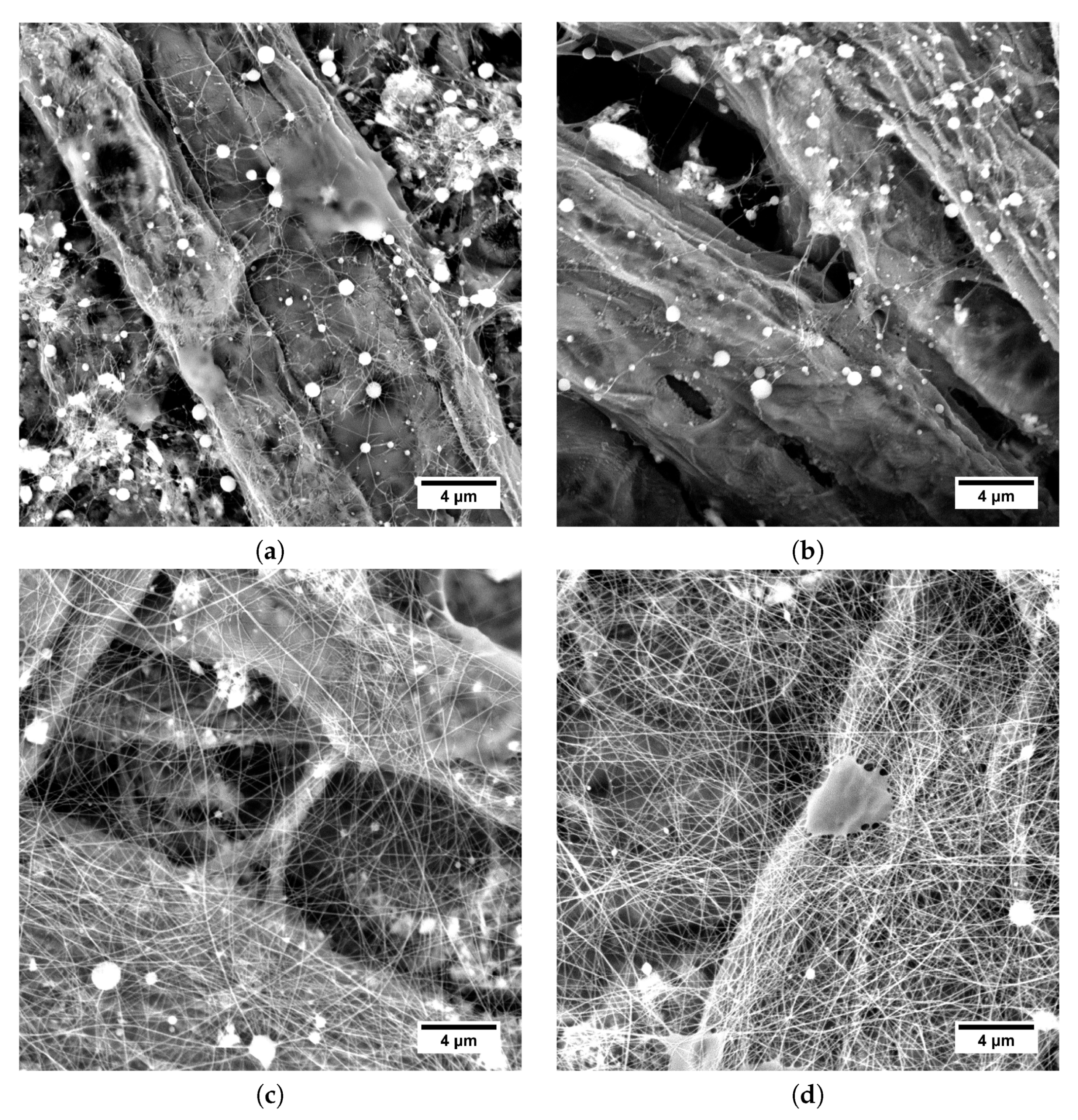 Polymers 11 01517 g011