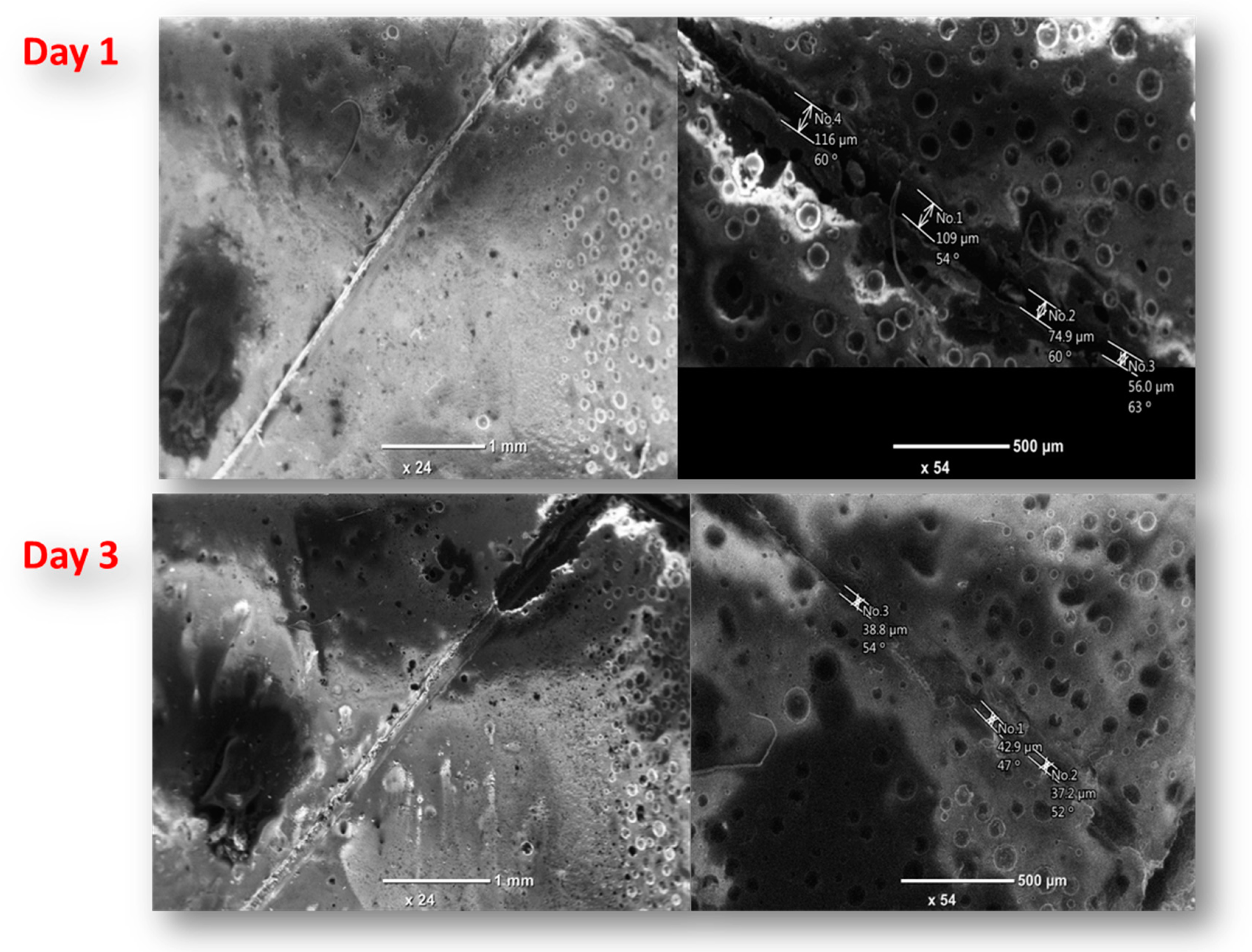Polymers 11 01519 g010