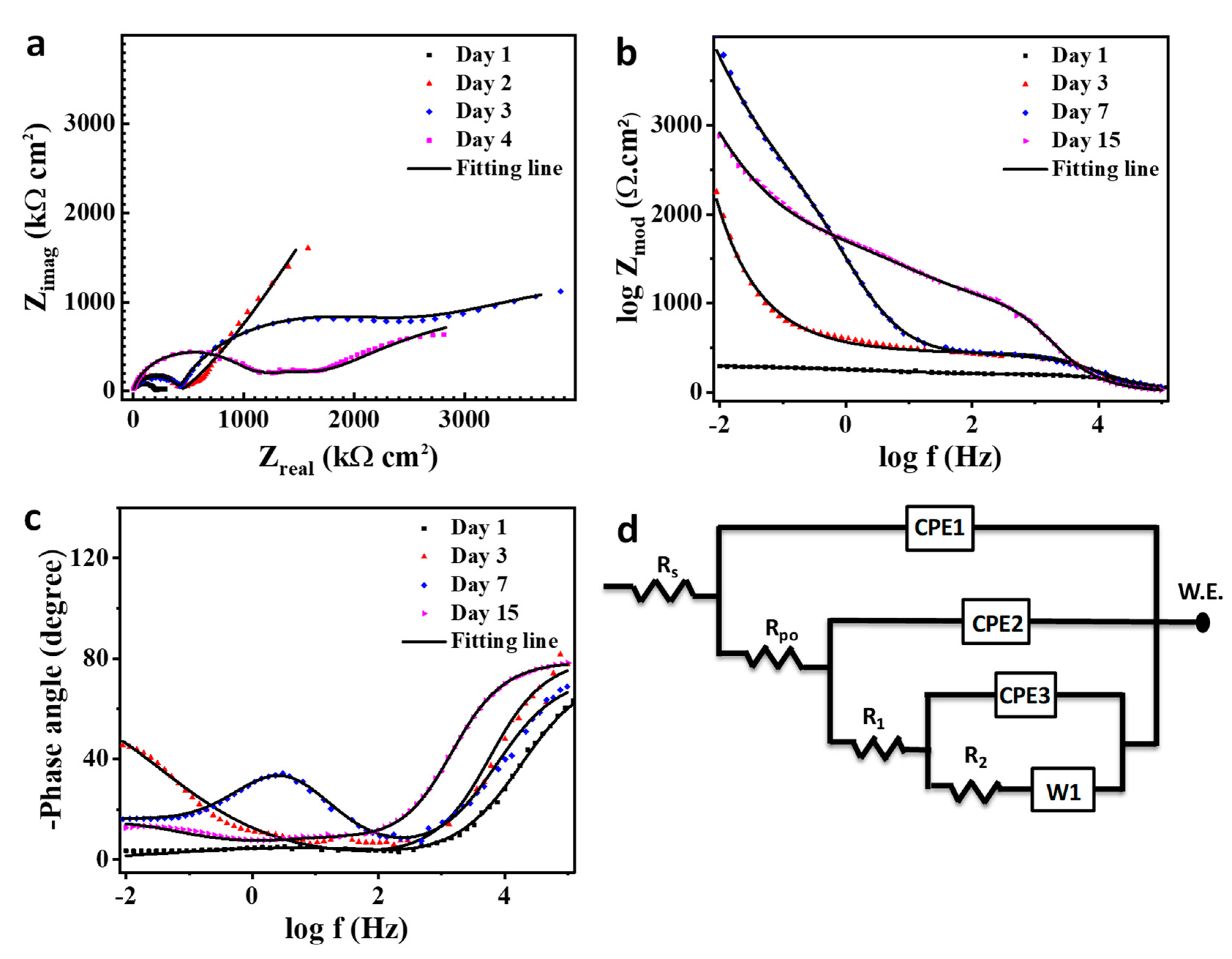 Polymers 11 01519 g013