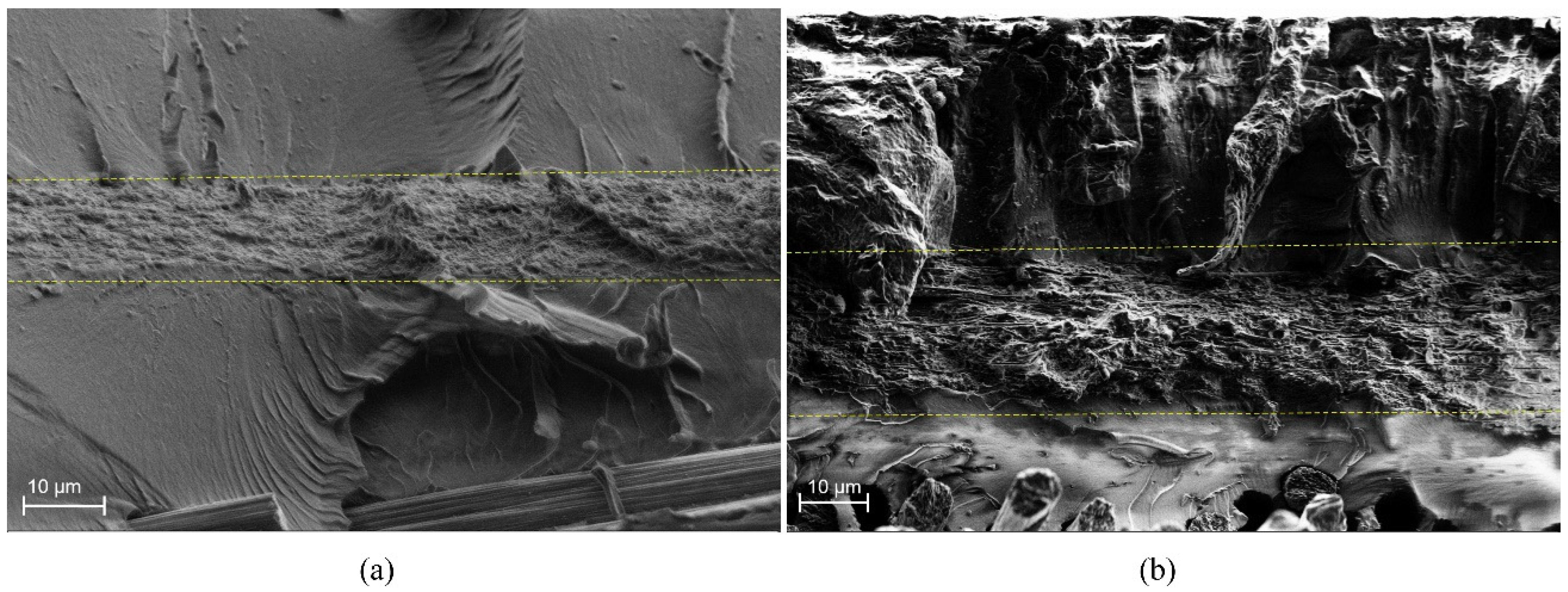 Polymers 11 01524 g003