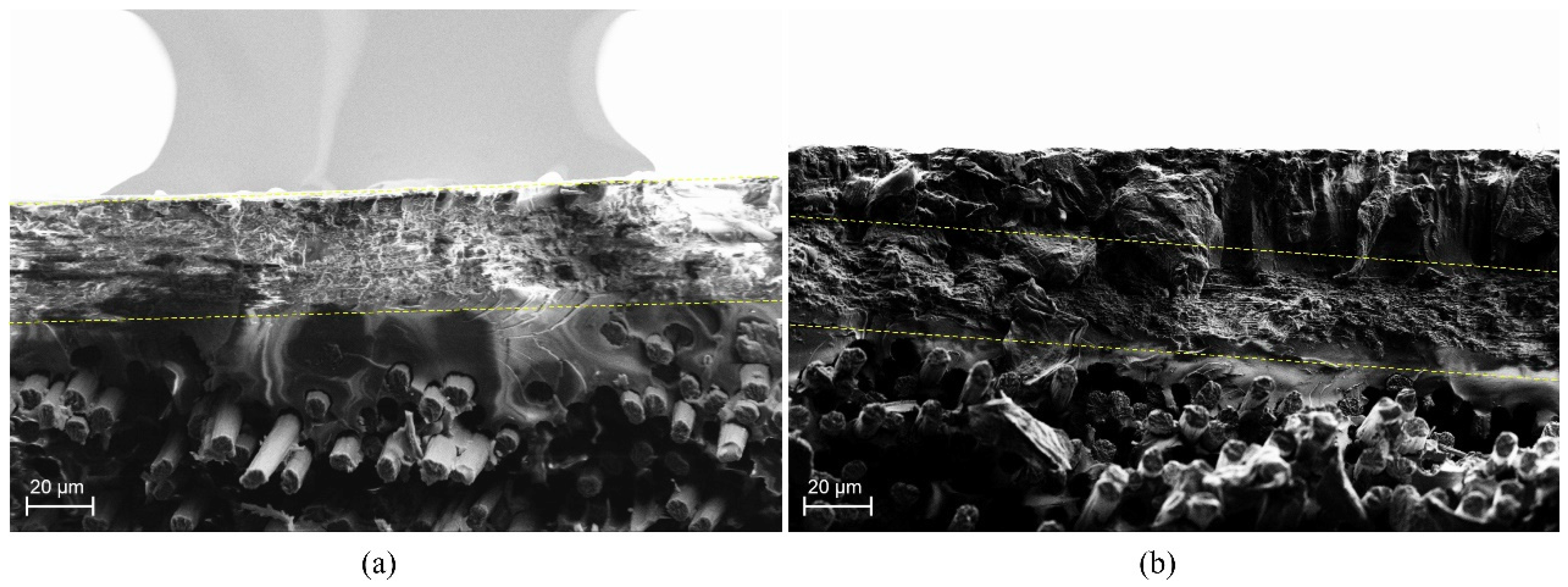 Polymers 11 01524 g008