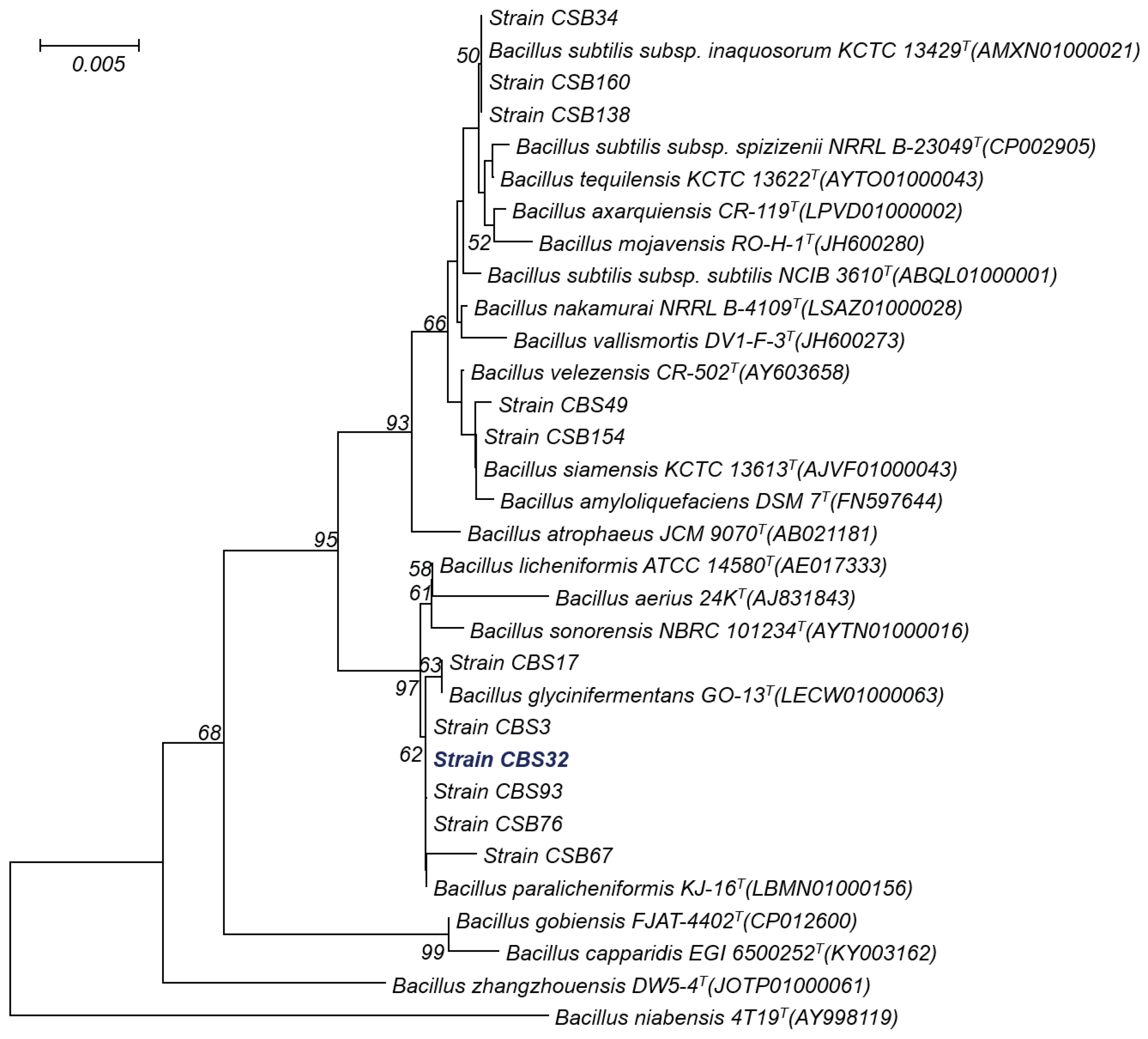 Polymers 11 01525 g001