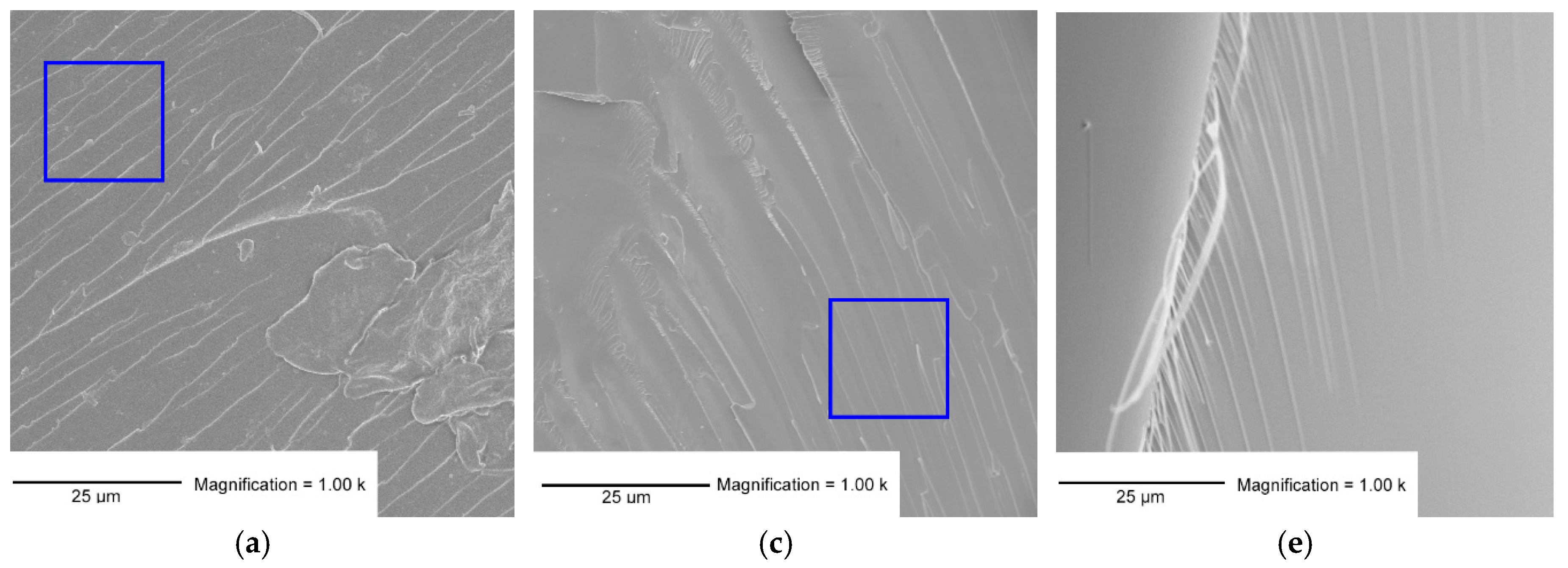 Polymers 11 01533 g002a