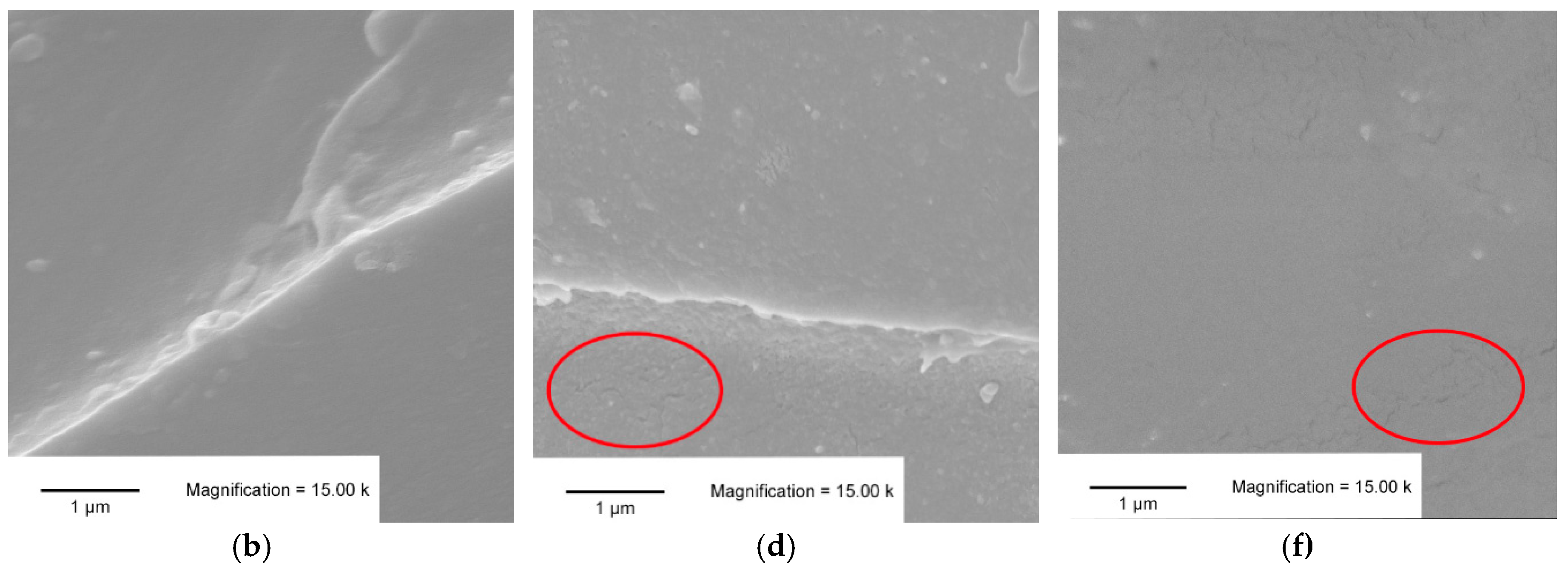 Polymers 11 01533 g002b