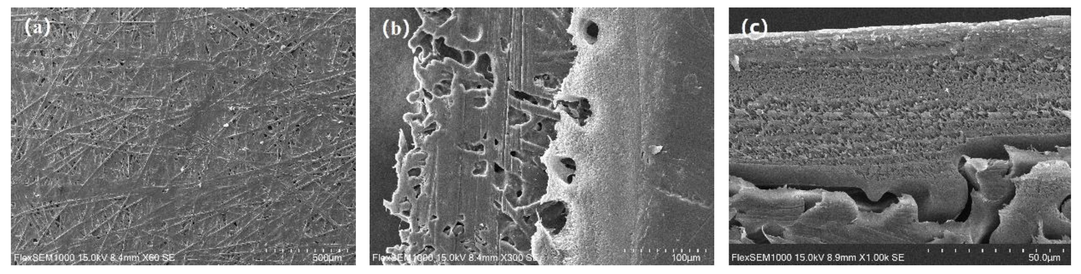 Polymers 11 01547 g013