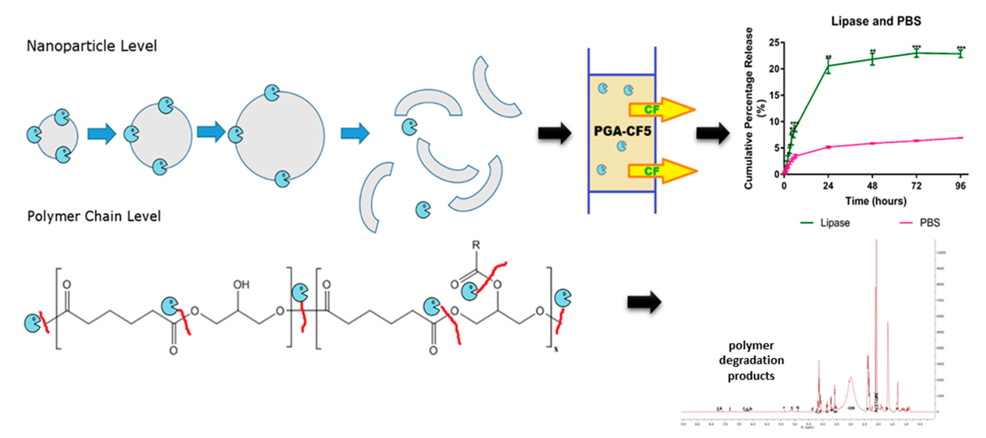 Polymers 11 01561 sch002
