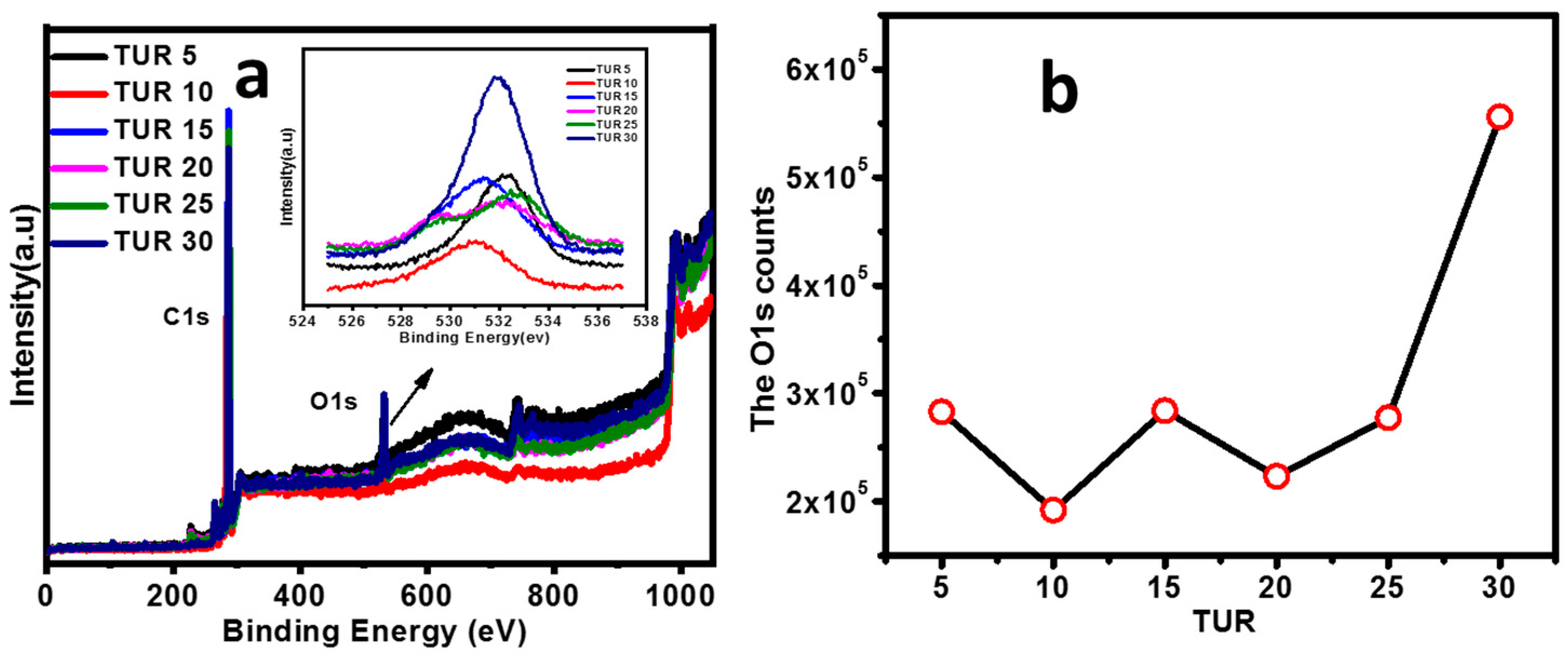 Polymers 11 01565 g004
