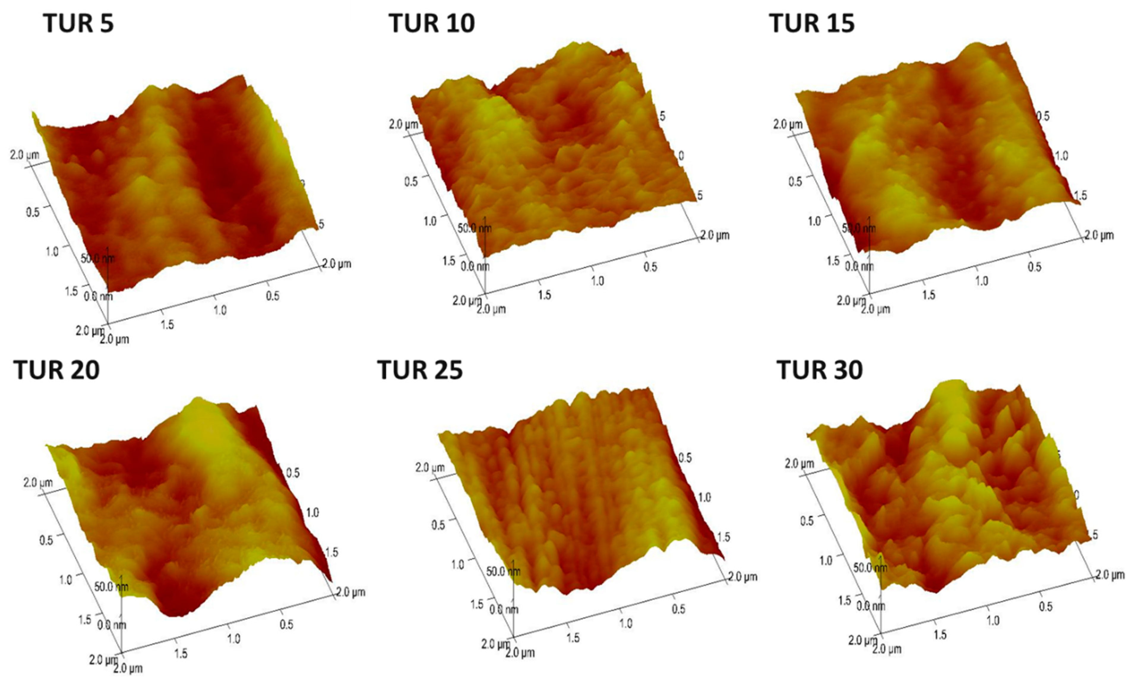 Polymers 11 01565 g005