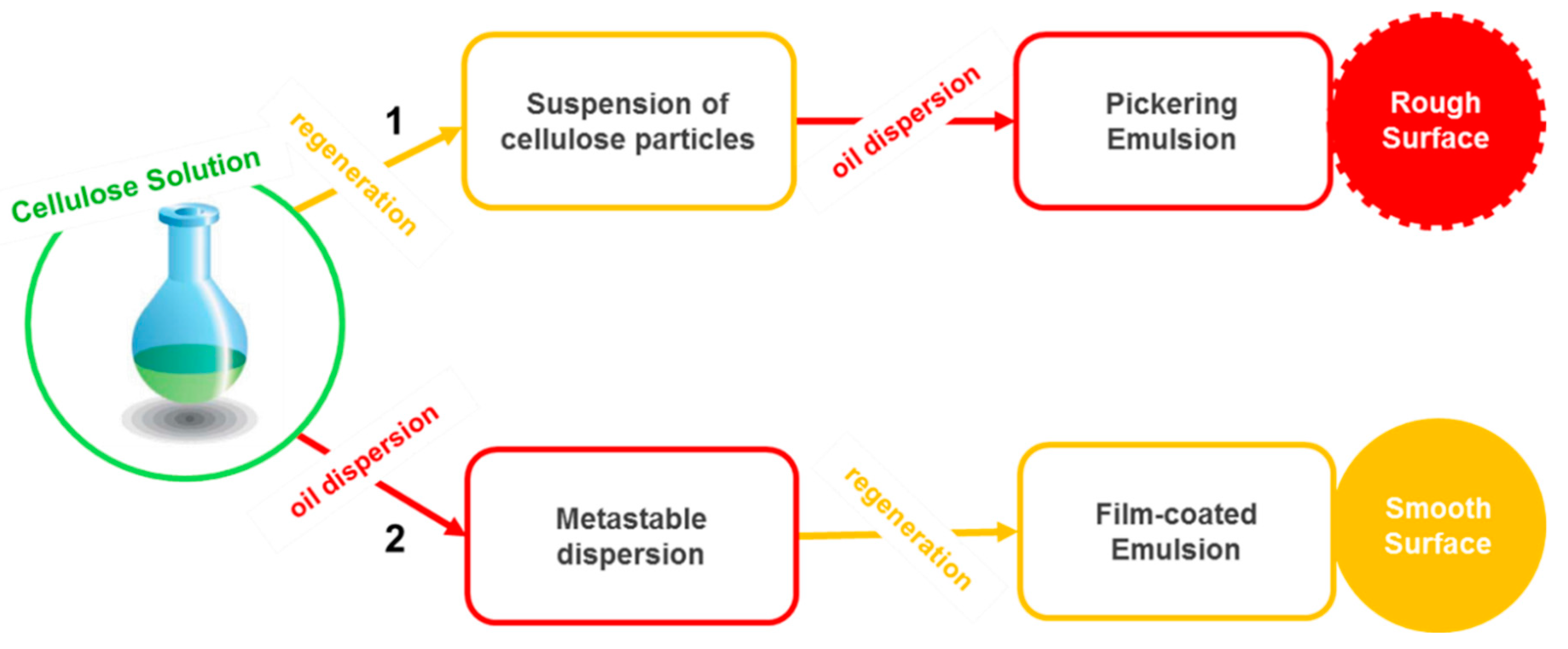 Polymers 11 01570 g003