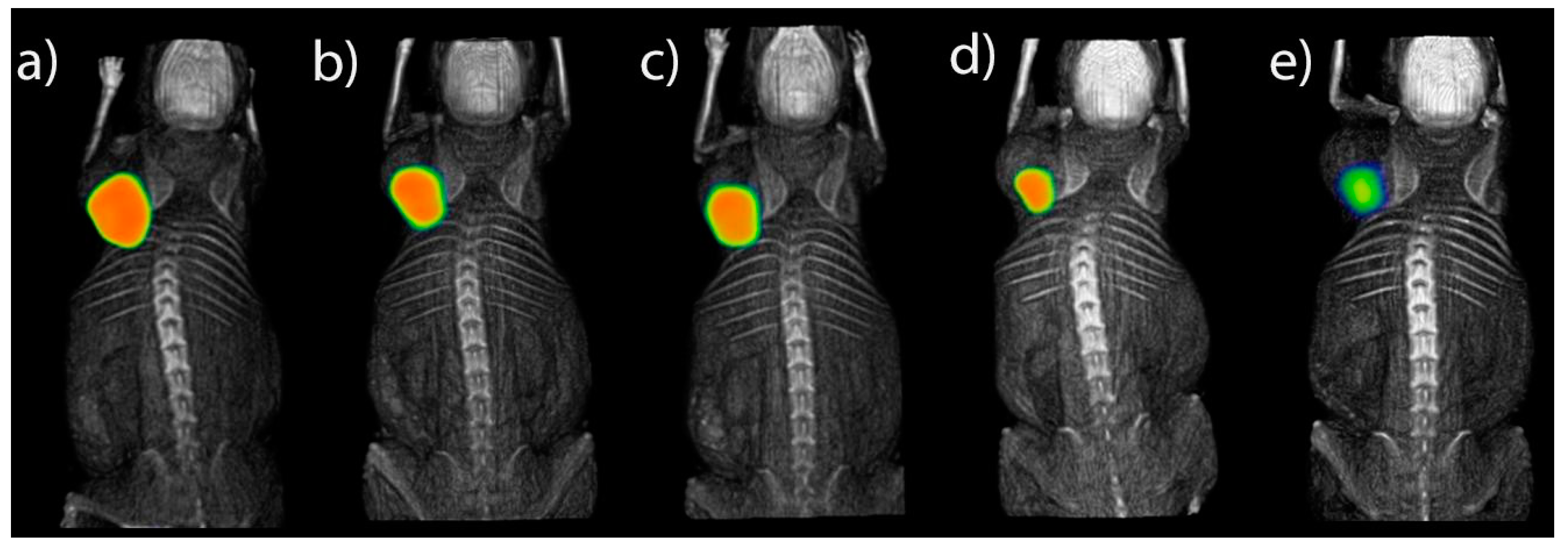 Polymers 11 01572 g008 Polymers 11 01572 g008