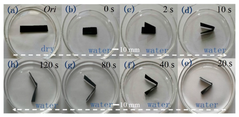 Polymers 11 01586 g005